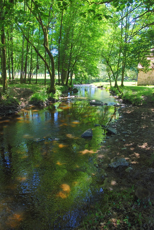 Les bords de la Côle, Saint-Jory-de-Chalais - photo 2
