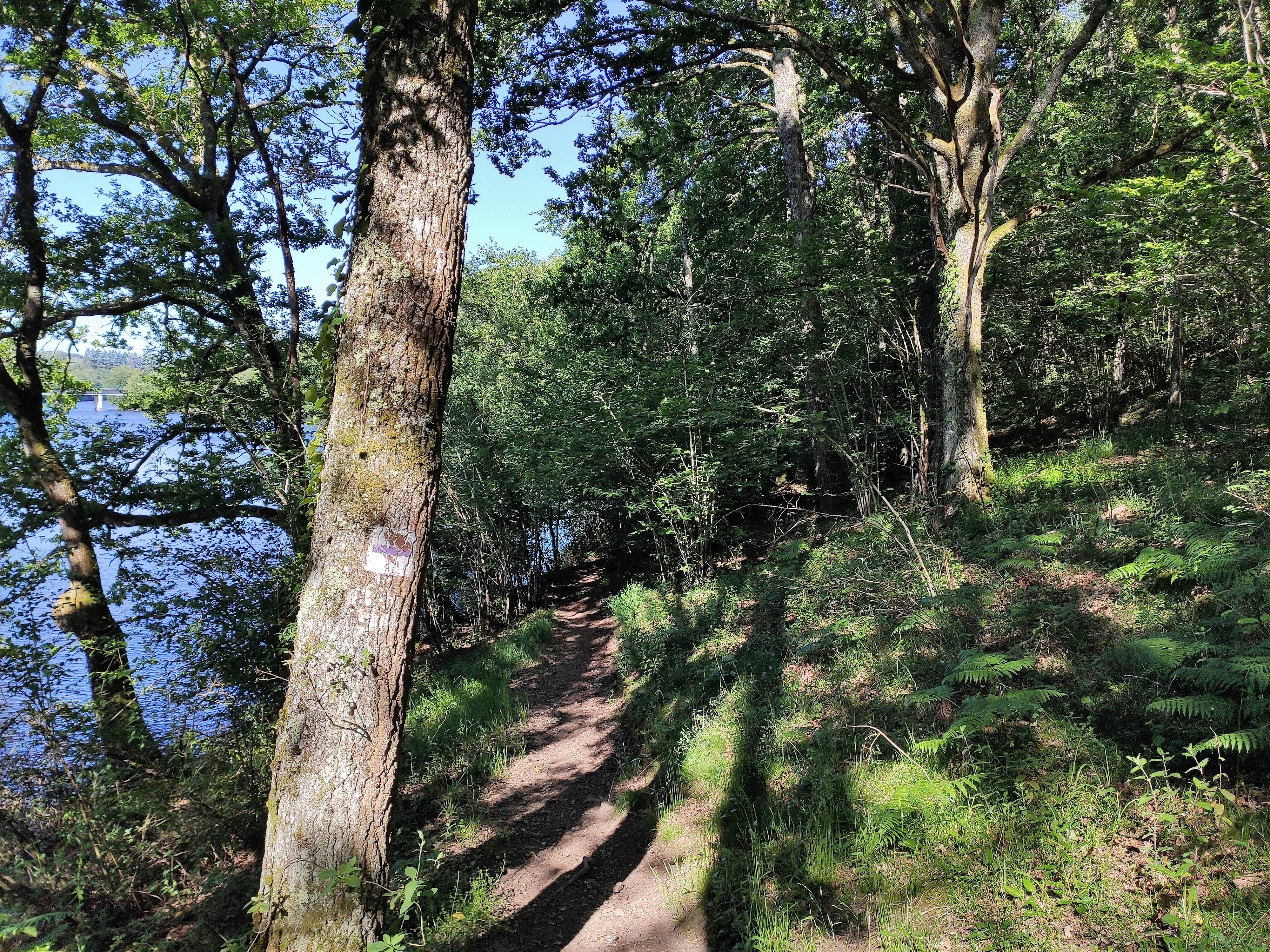 Circuit de Saint-Julien, Saint-Julien-le-Petit - photo 3