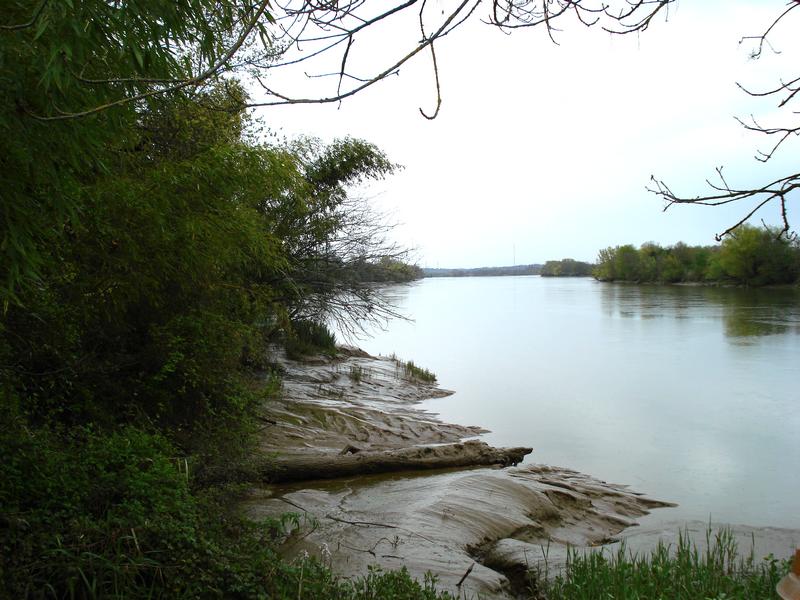 Bocage humide des bords de Garonne, Cadaujac - photo 7
