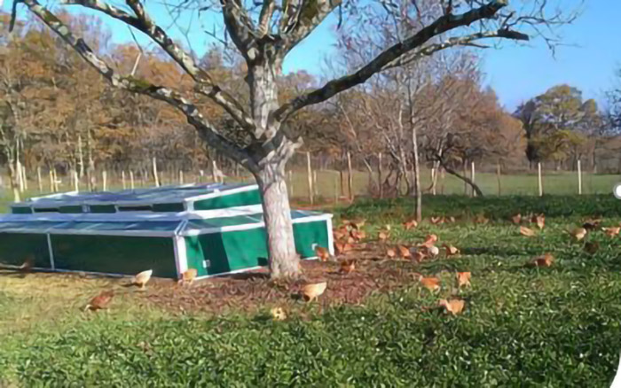 Les jardins de Boscornut