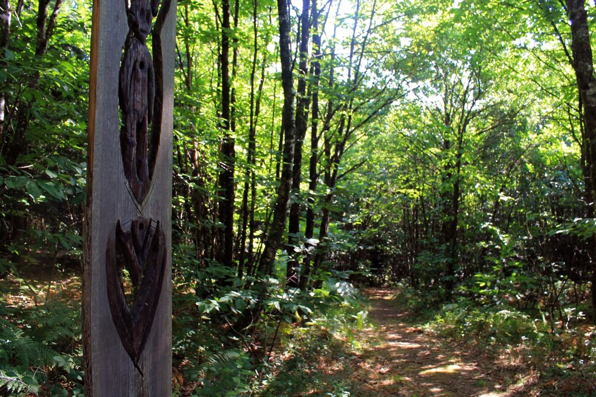 Circuit La forêt de Boubon