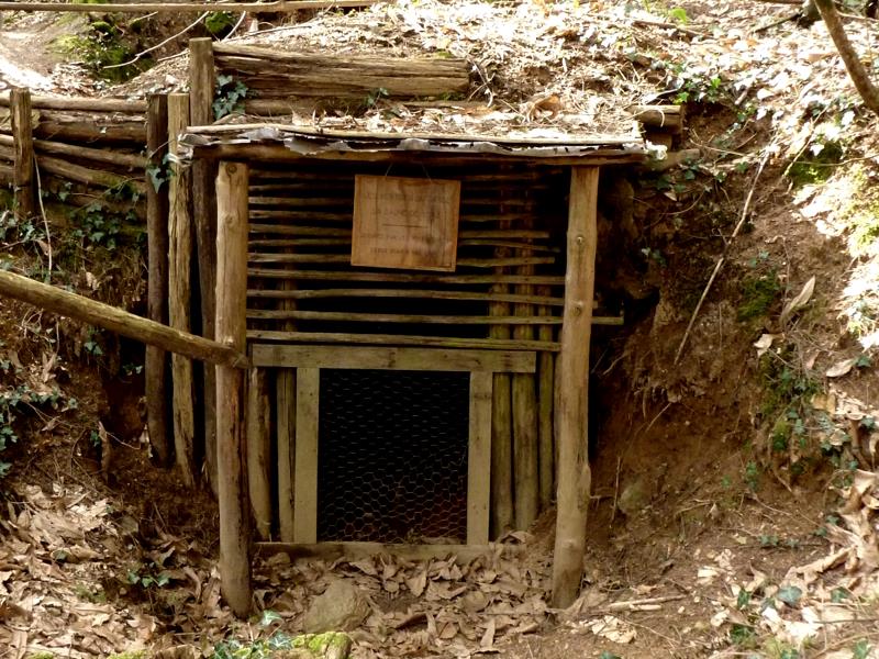 Terra Aventura : En poste dans la forêt de Boubon ! - photo 4