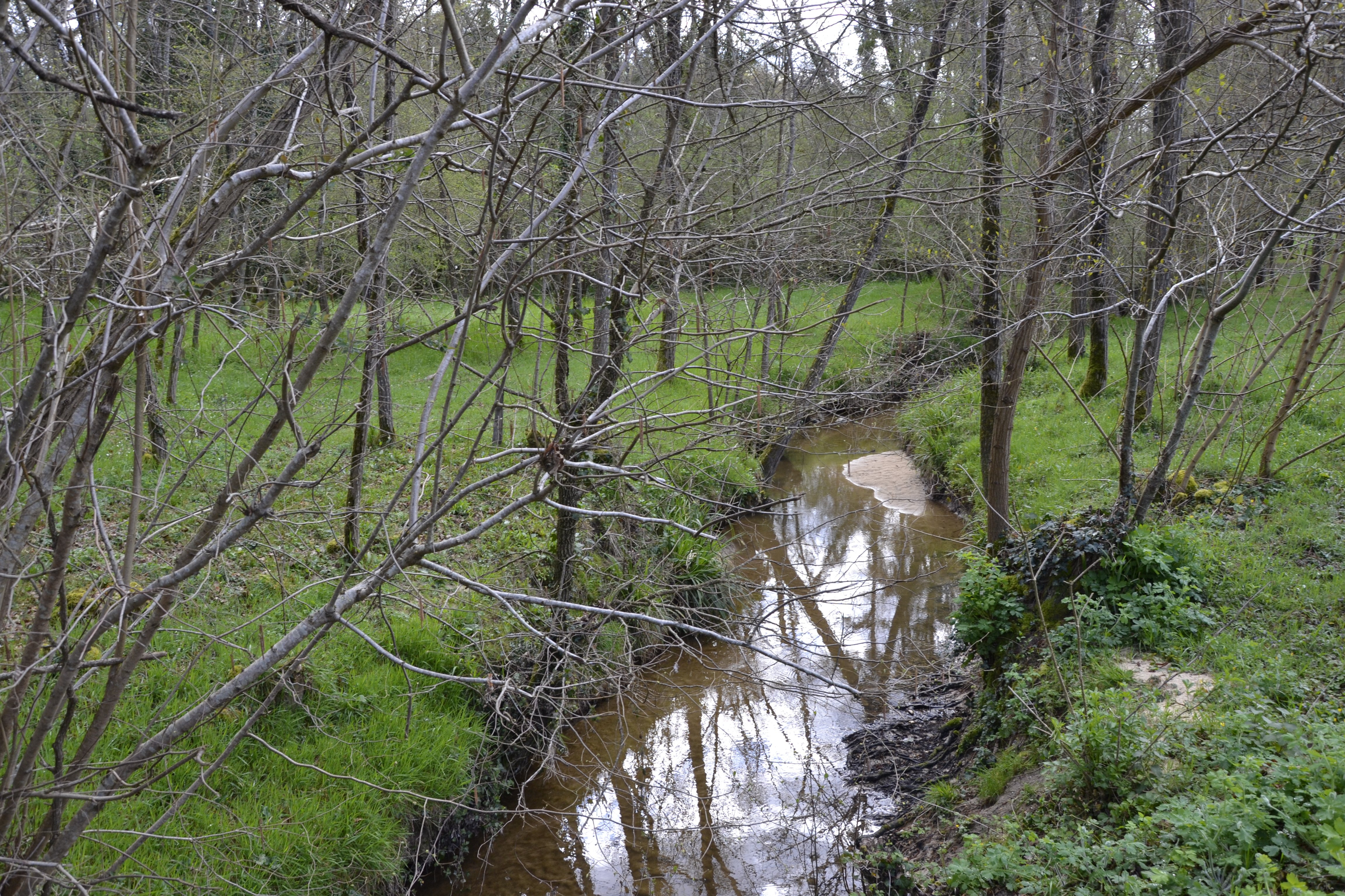 Boucle des deux Eglises - photo 3