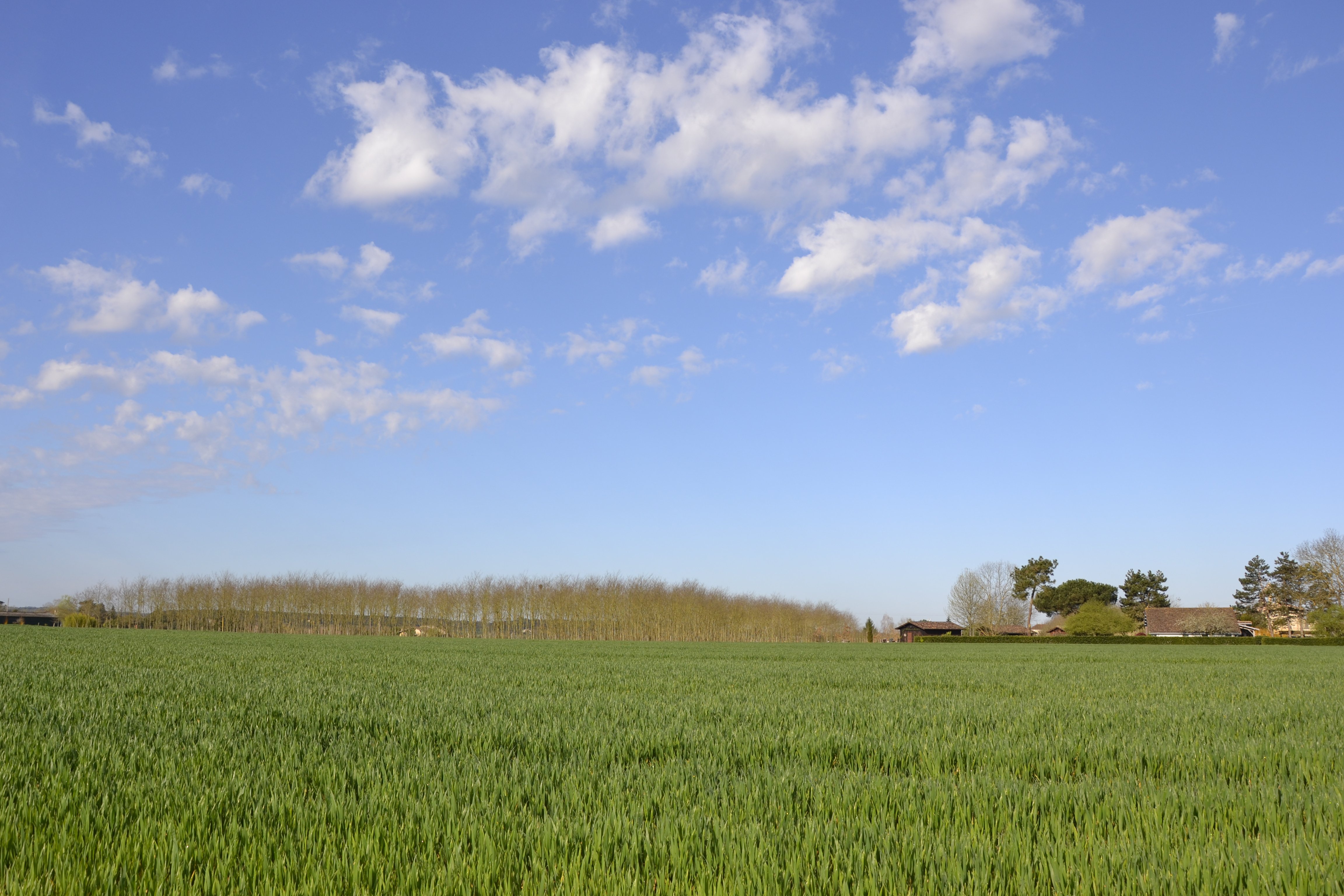 Boucle des deux Eglises - photo 4