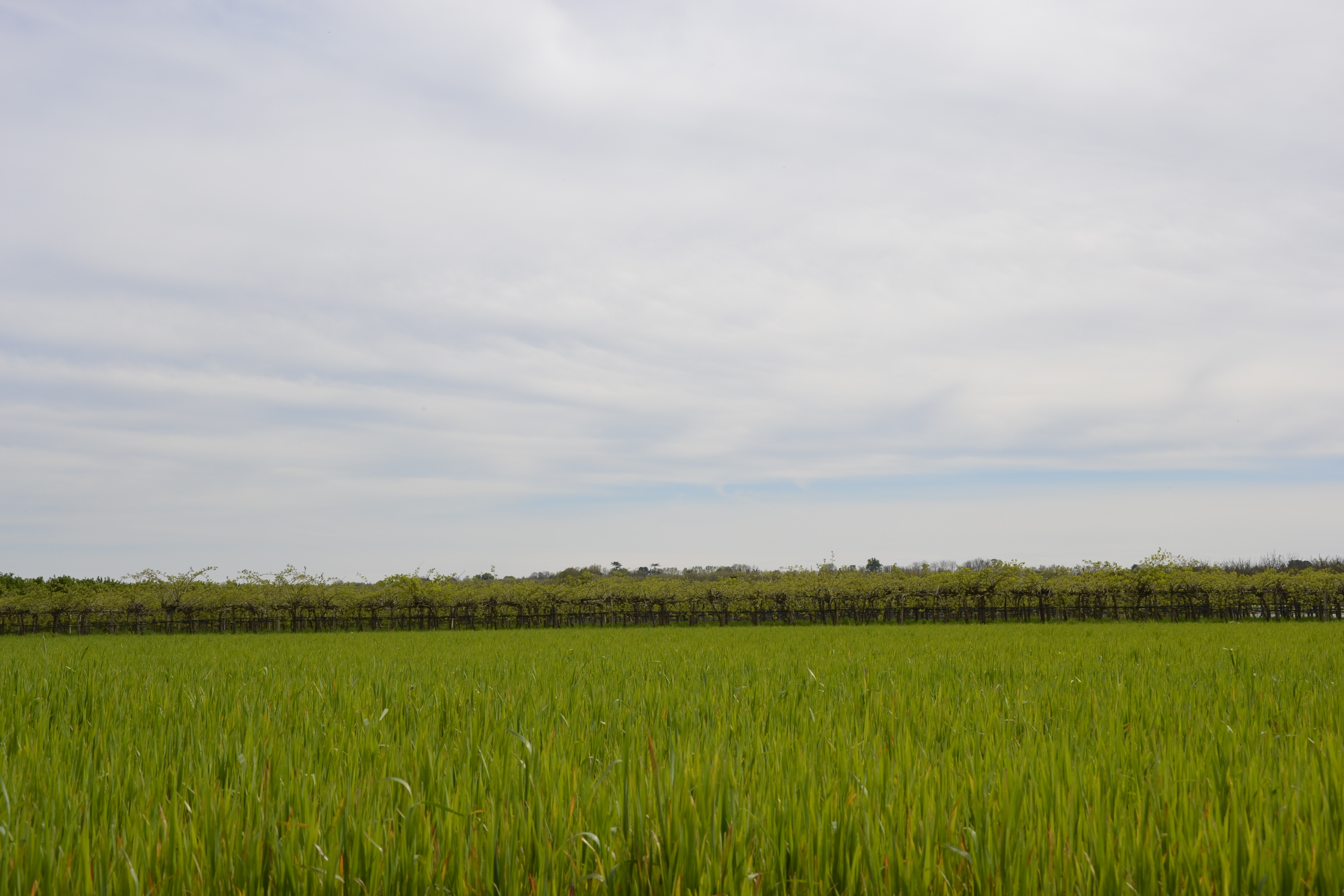 Boucle de l'Imbarradys - photo 3