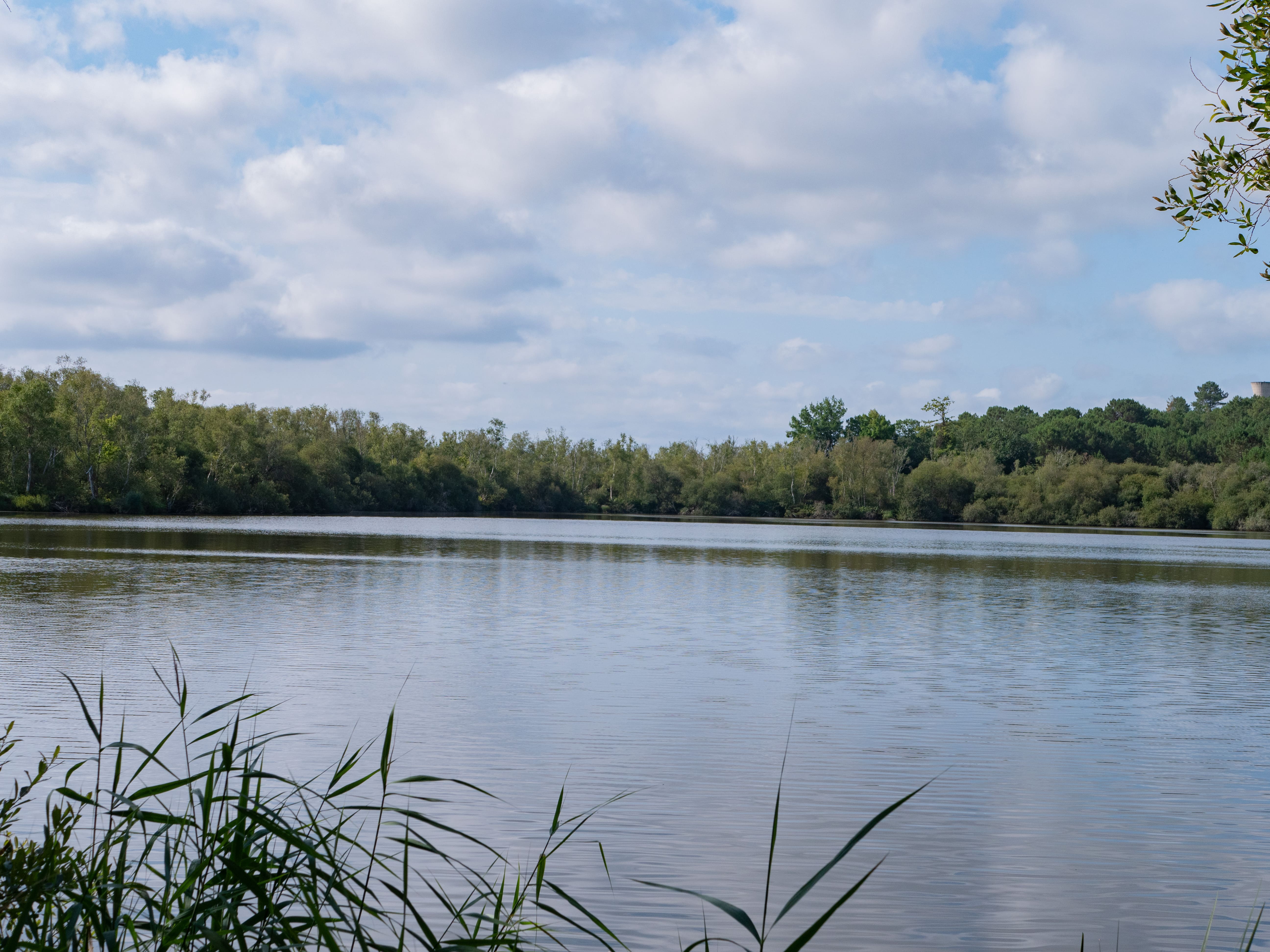 Lagune de Contaut, Hourtin - photo 2