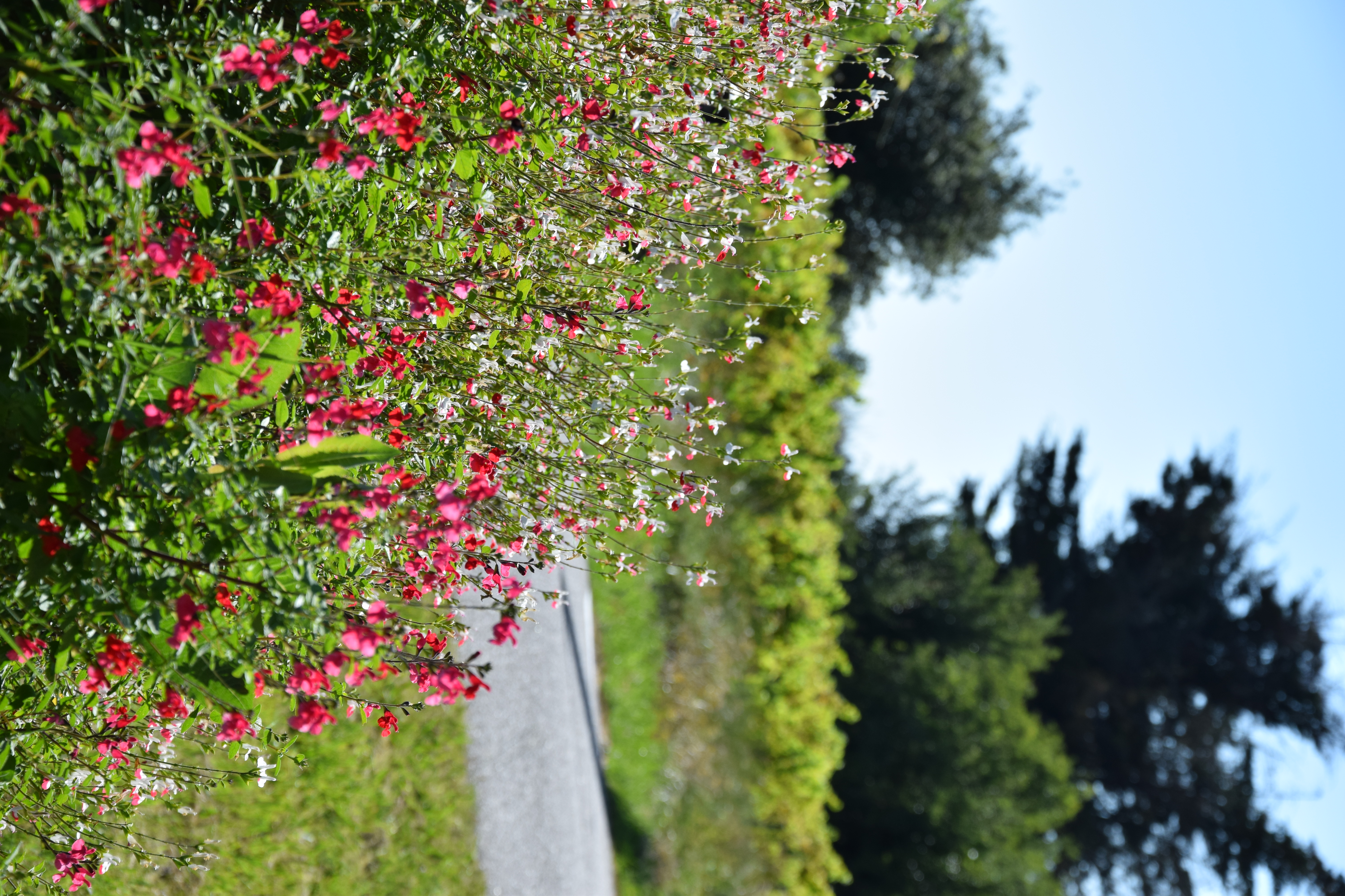 Boucle de l'Estuaire