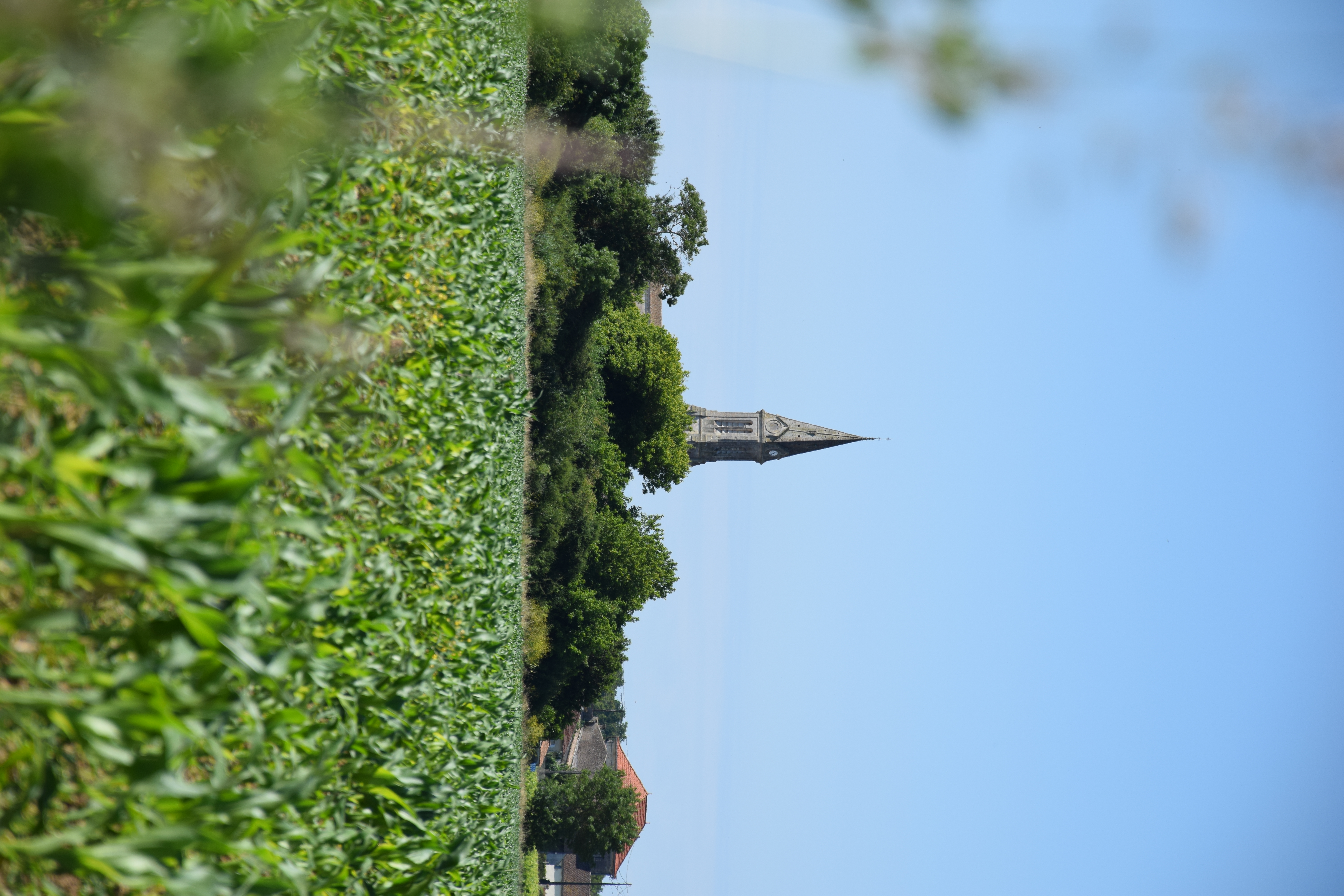 Boucle de l'Estuaire, Valeyrac - photo 7