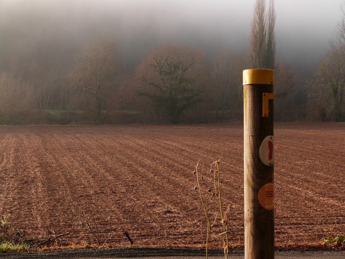 Boucle de la Micoque n°15 /Les Eyzies, Les Eyzies - photo 3