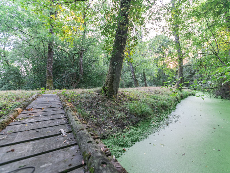 La boucle des palombes - photo 5