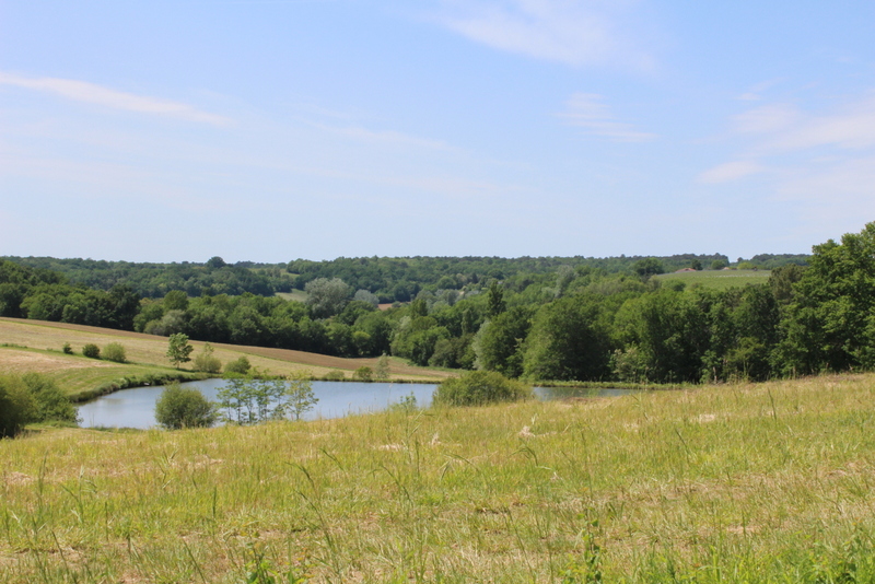 Boucle du Bois Bourru à Pellegrue, Pellegrue - photo 2
