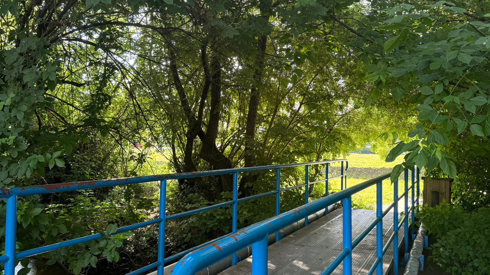 Boucle du Brousteyrot - photo 3