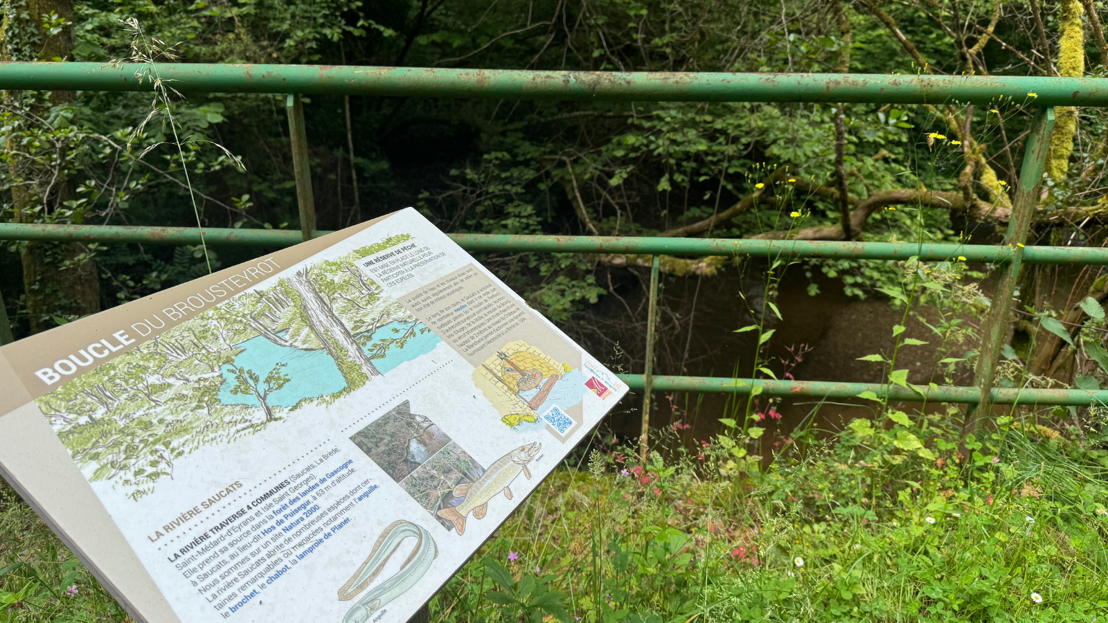 Boucle du Brousteyrot - photo 4