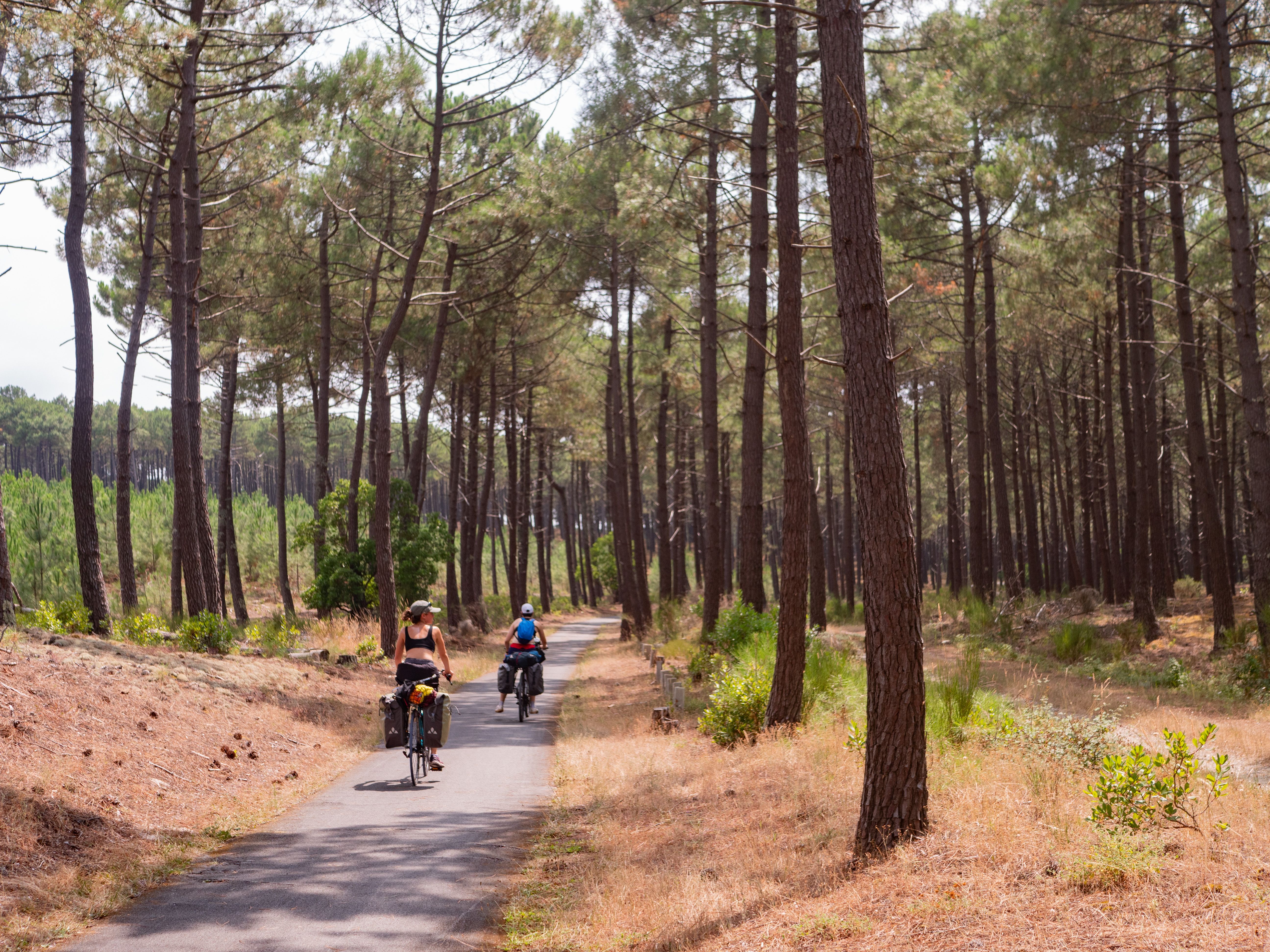 Tèrra Aventura : Ziclou des rails à Lacanau - photo 2