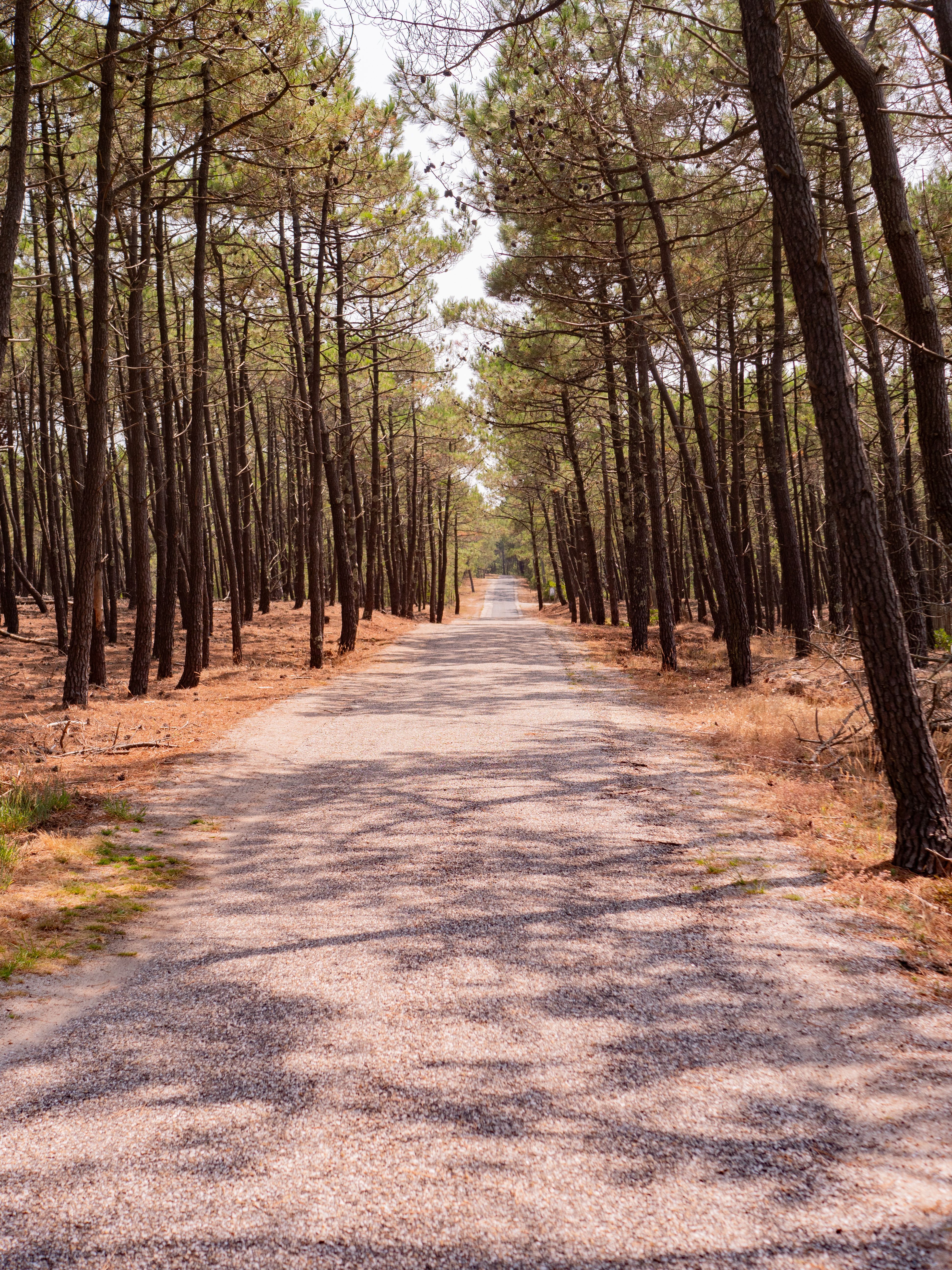 Boucle découverte du Lion, Lacanau