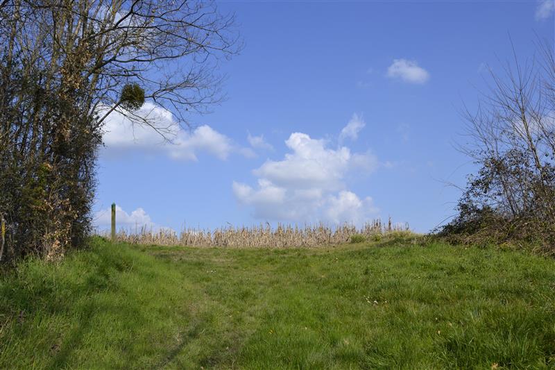 Boucle du Moulin E10