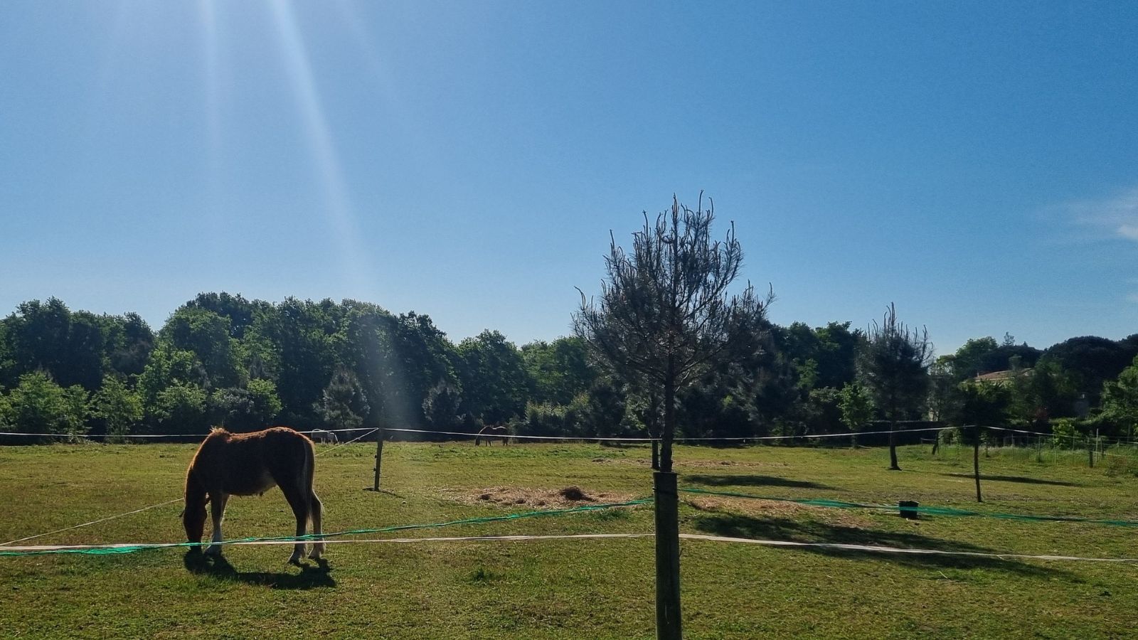 Boucle du Pape, La Brède - photo 3