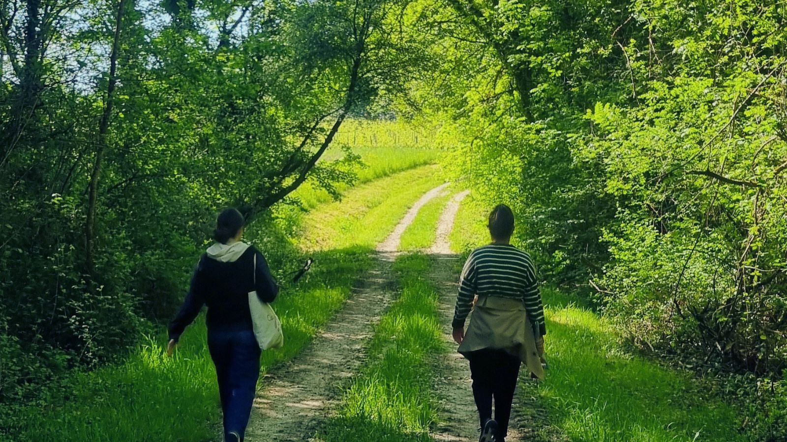 Boucle du Pape, La Brède - photo 6
