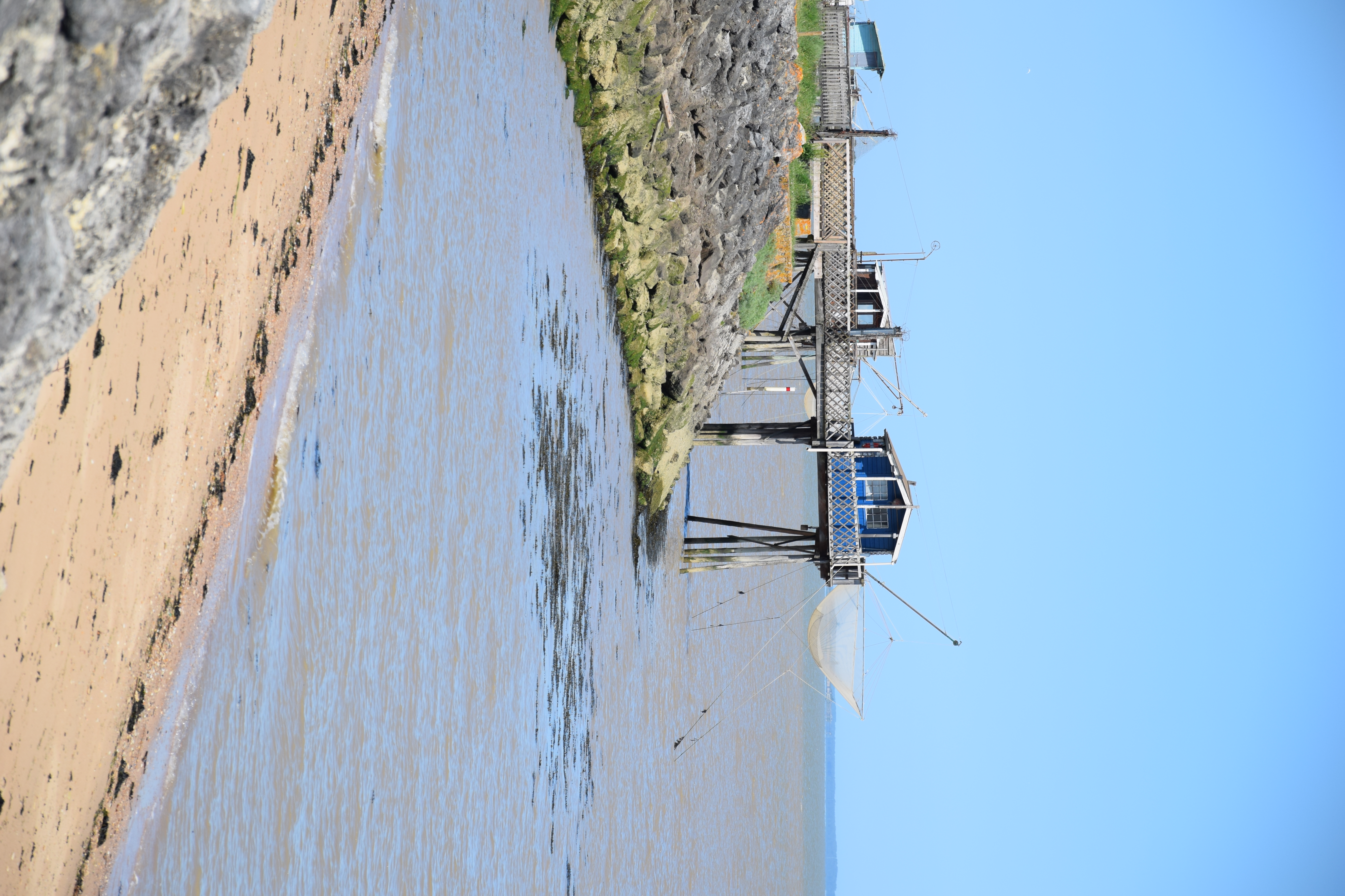 Boucle du Phare de Richard, Jau-Dignac-et-Loirac - photo 5