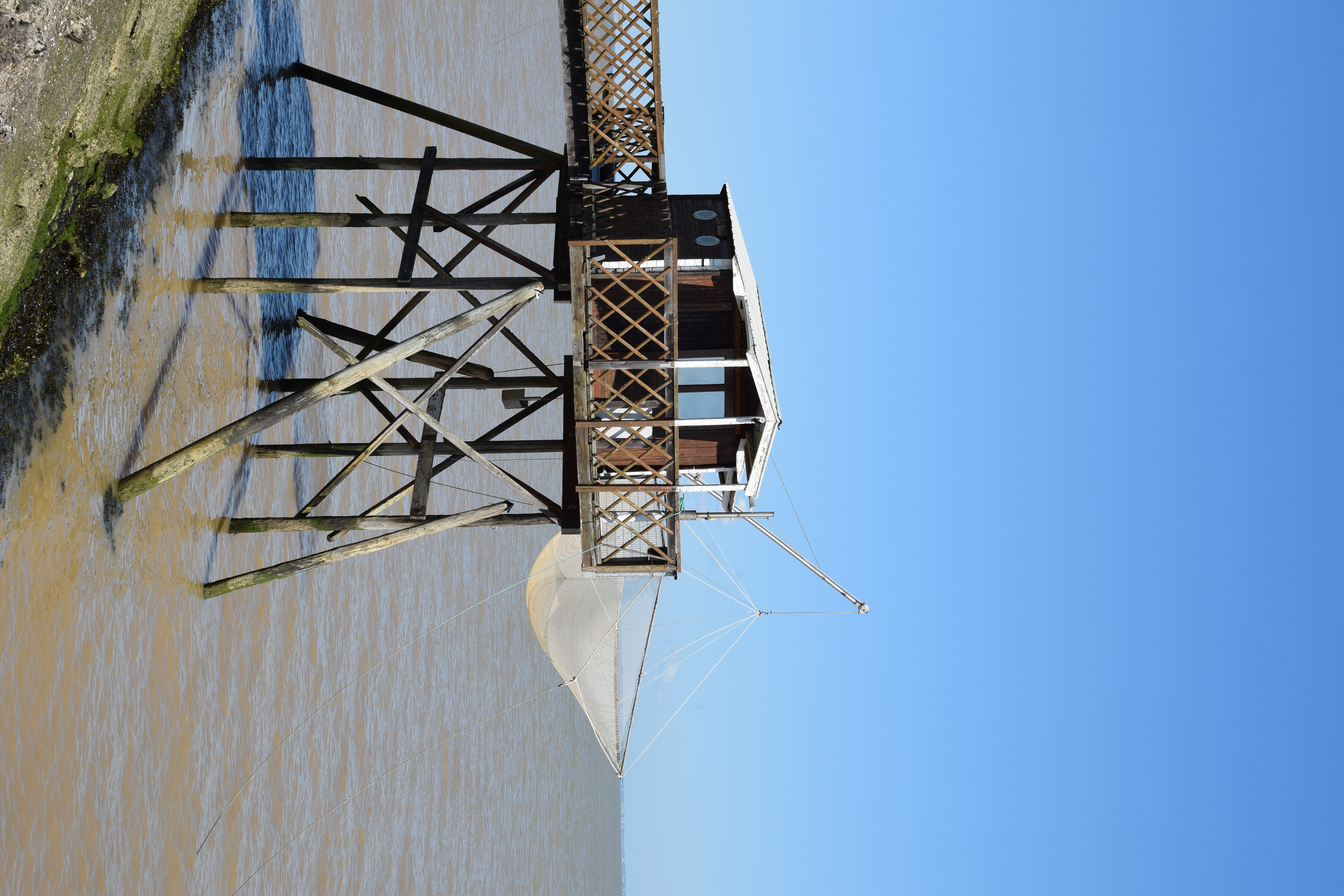 Boucle du Phare de Richard, Jau-Dignac-et-Loirac - photo 19