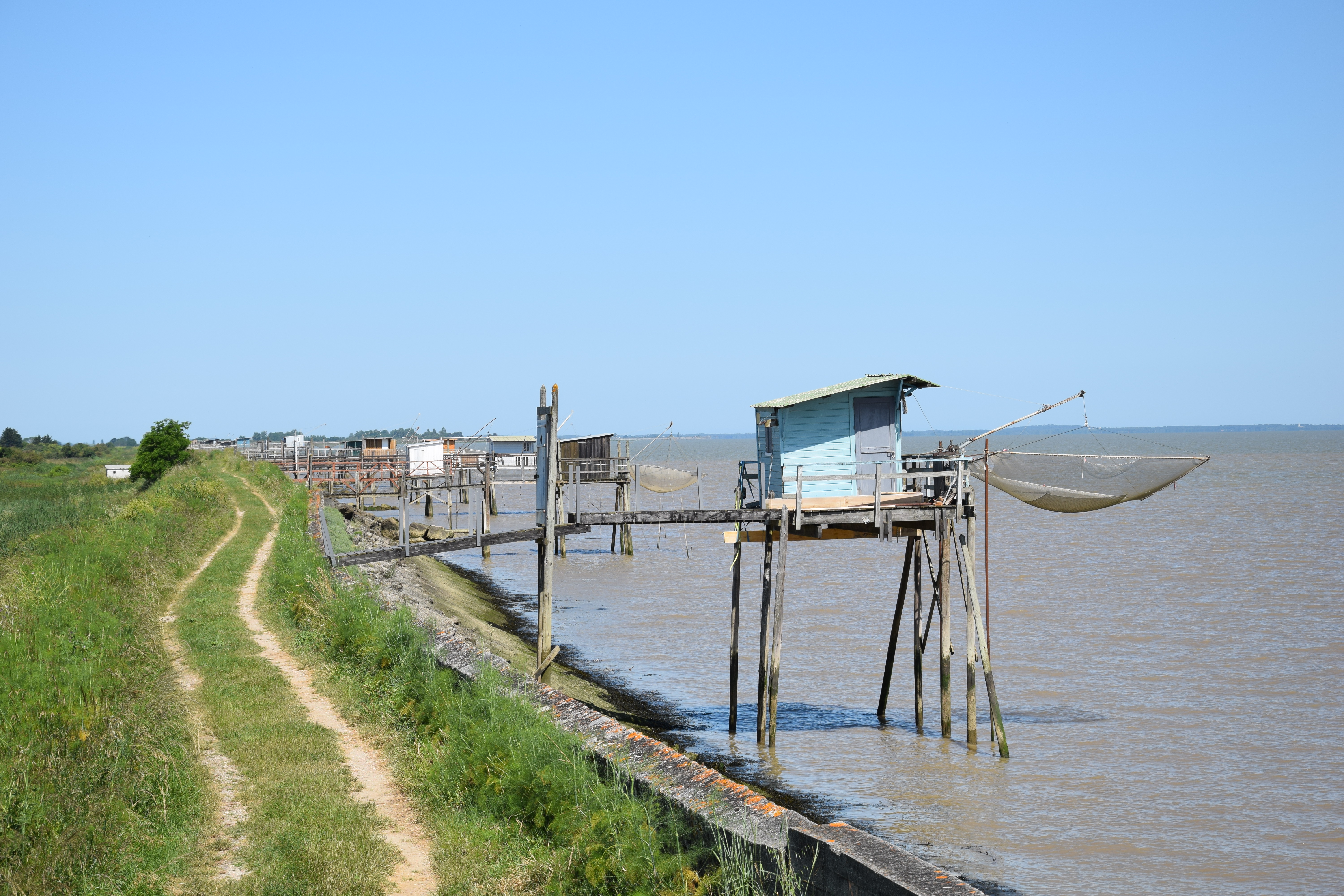 Boucle du Phare de Richard, Jau-Dignac-et-Loirac - photo 7