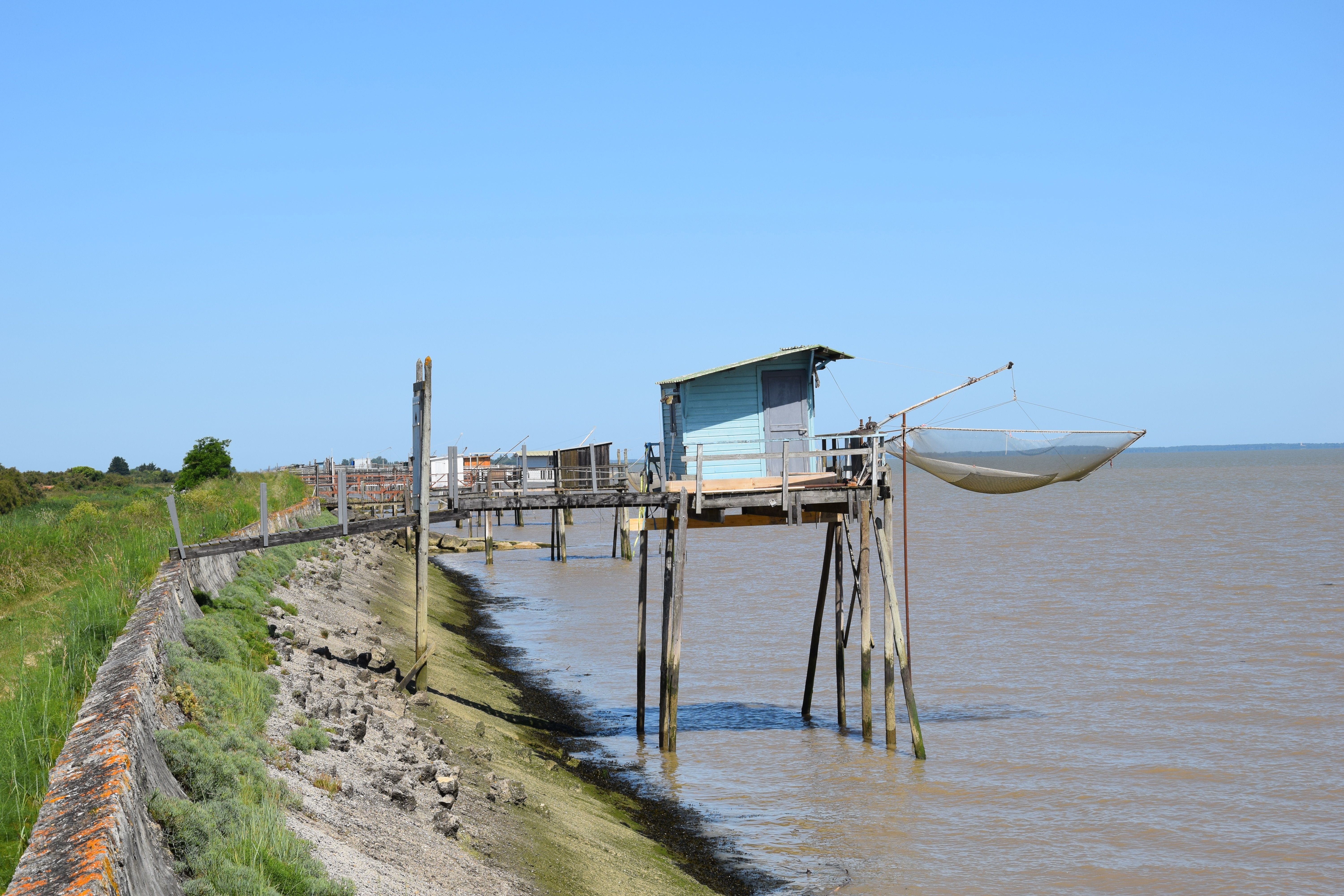 Boucle du Phare de Richard, Jau-Dignac-et-Loirac - photo 12
