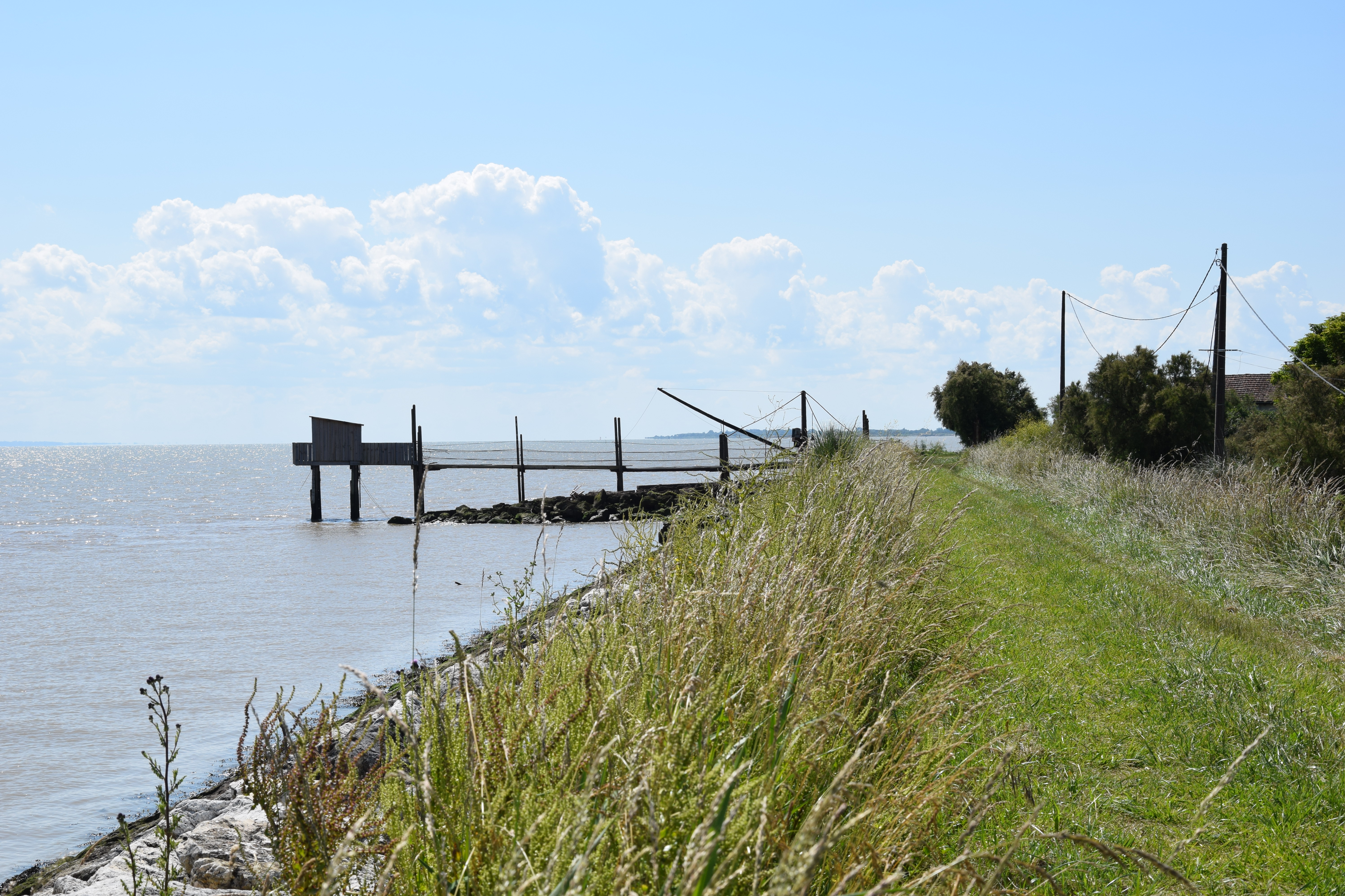 Boucle du Phare de Richard, Jau-Dignac-et-Loirac - photo 11