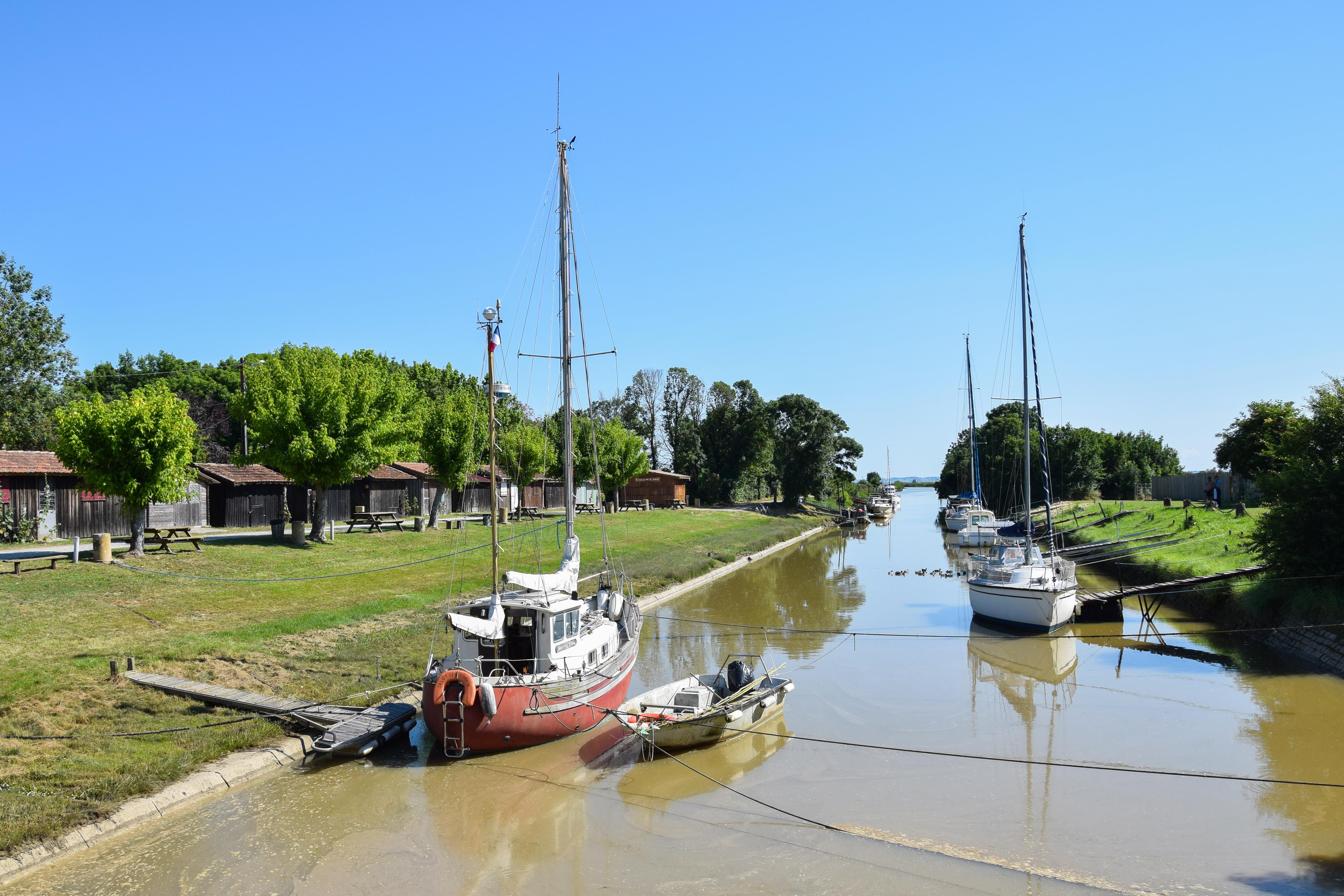 Boucle du Phare de Richard, Jau-Dignac-et-Loirac - photo 16