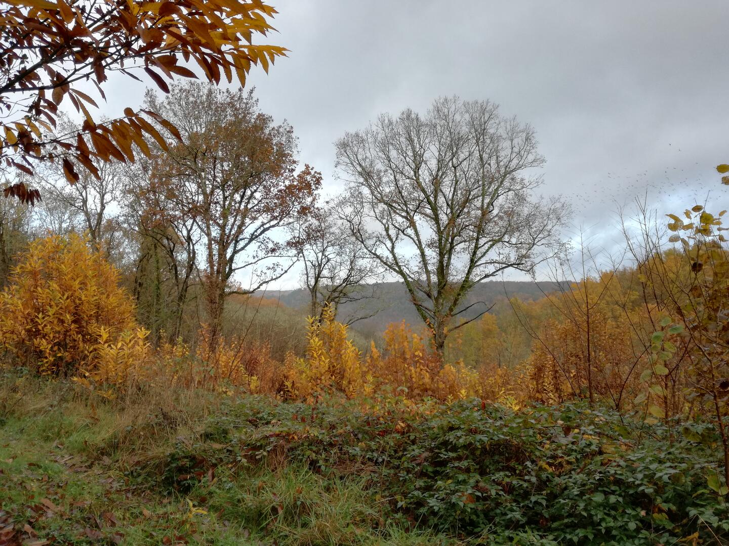 Boucle du Cingle n°6 / Le Bugue - photo 3