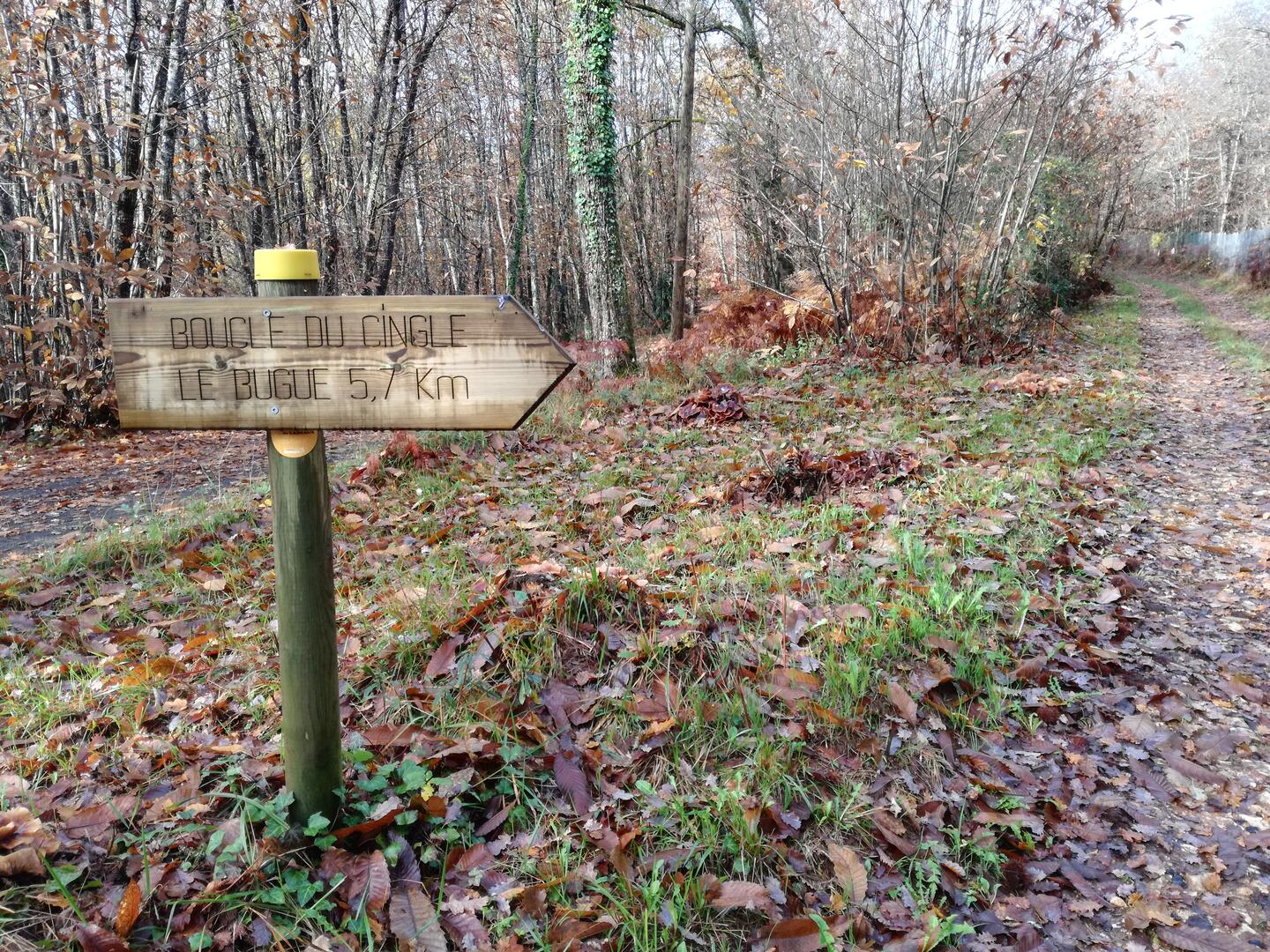 Boucle du Cingle n°6 / Le Bugue - photo 2