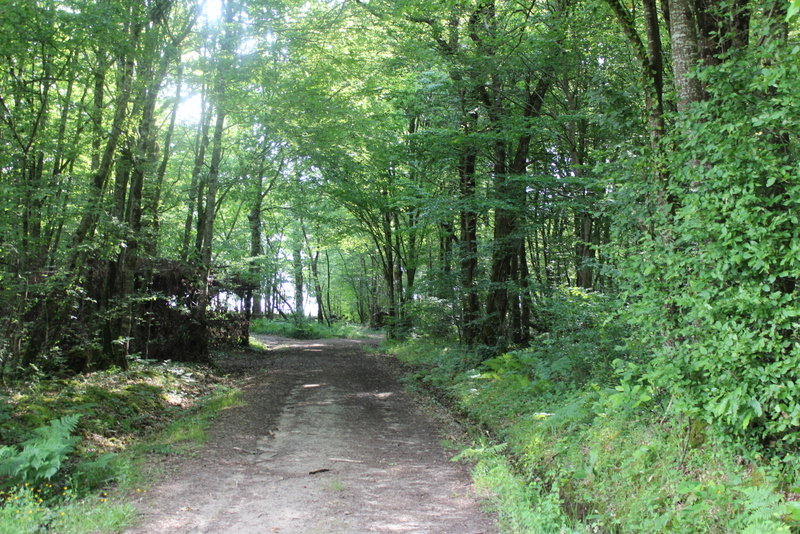 Boucle locale du coucou à Landerrouat