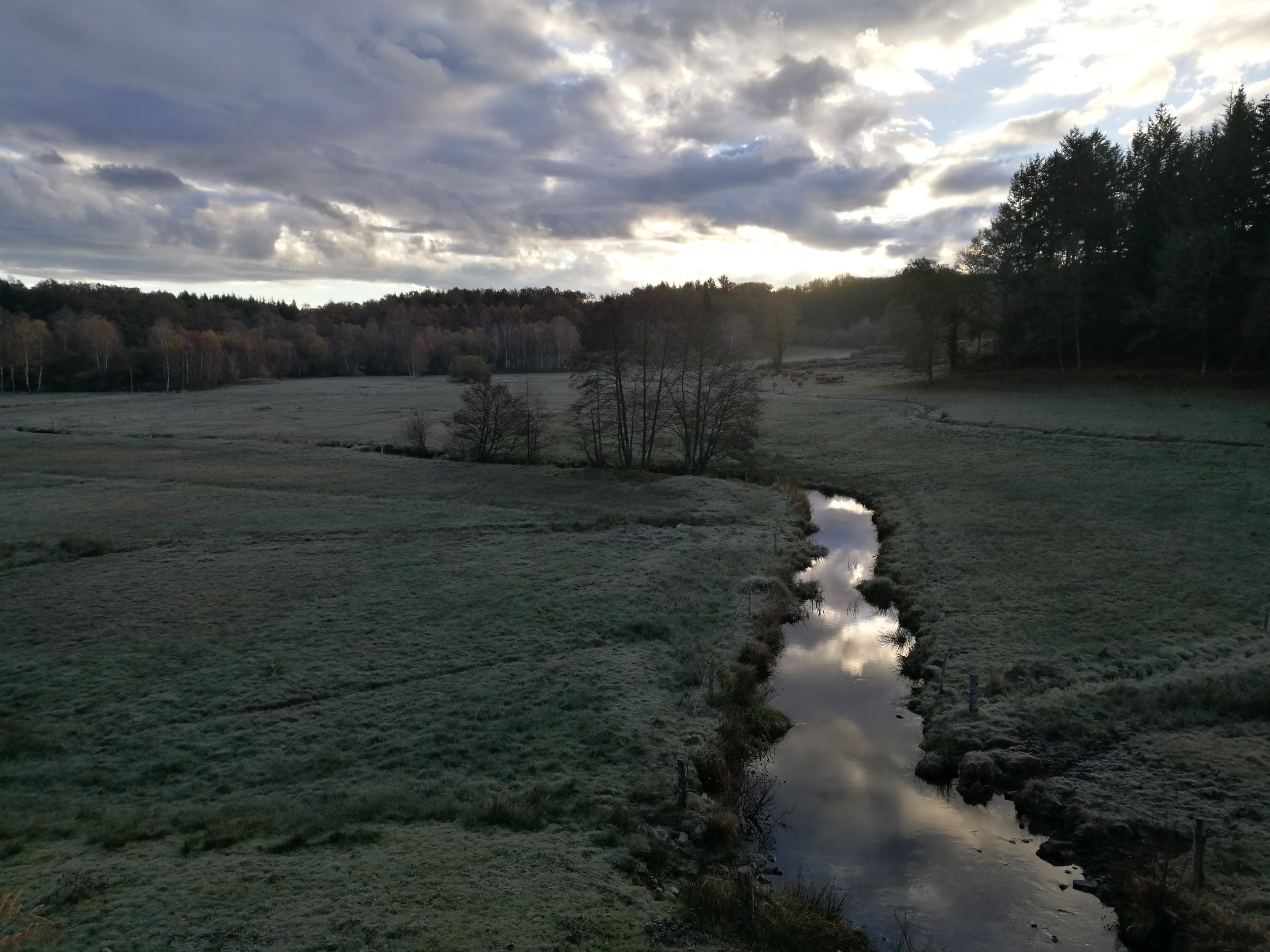 Boucle Locale N°55 Au coeur de la campagne creusoise, Soubrebost - photo 4