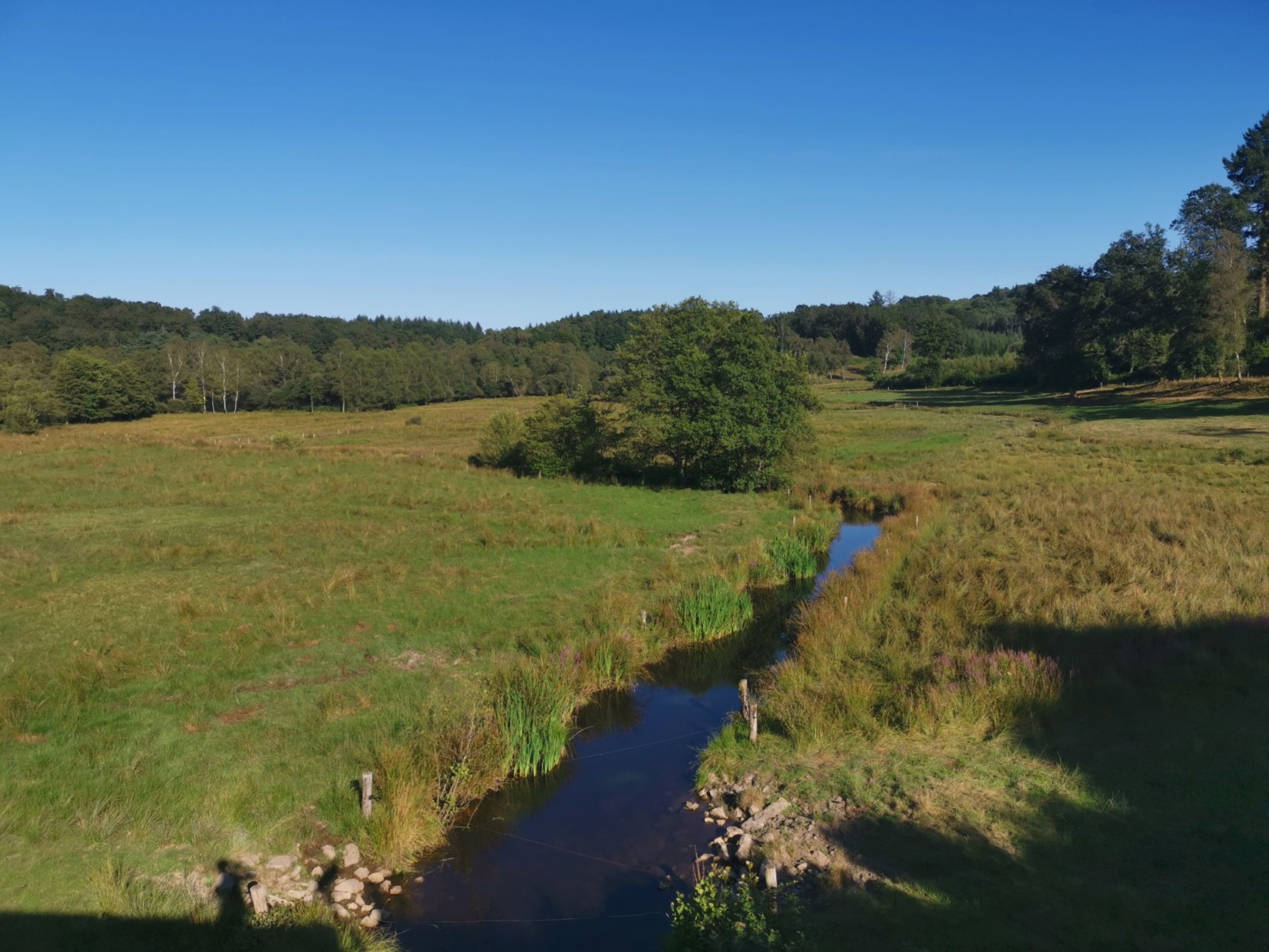 Boucle Locale N°55 Au coeur de la campagne creusoise, Soubrebost - photo 5