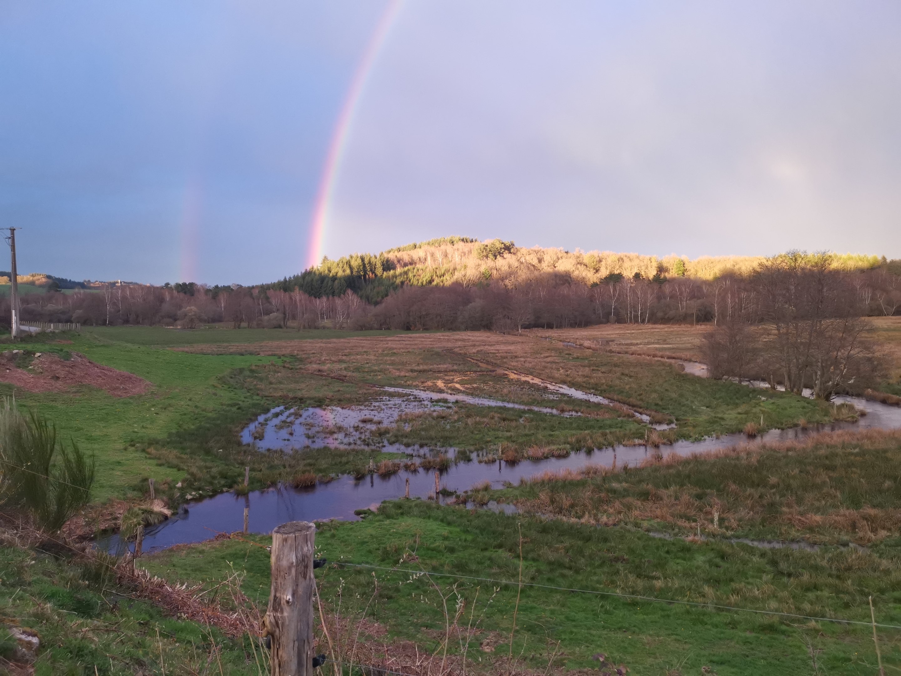 Boucle Locale N°55 Au coeur de la campagne creusoise, Soubrebost - photo 9