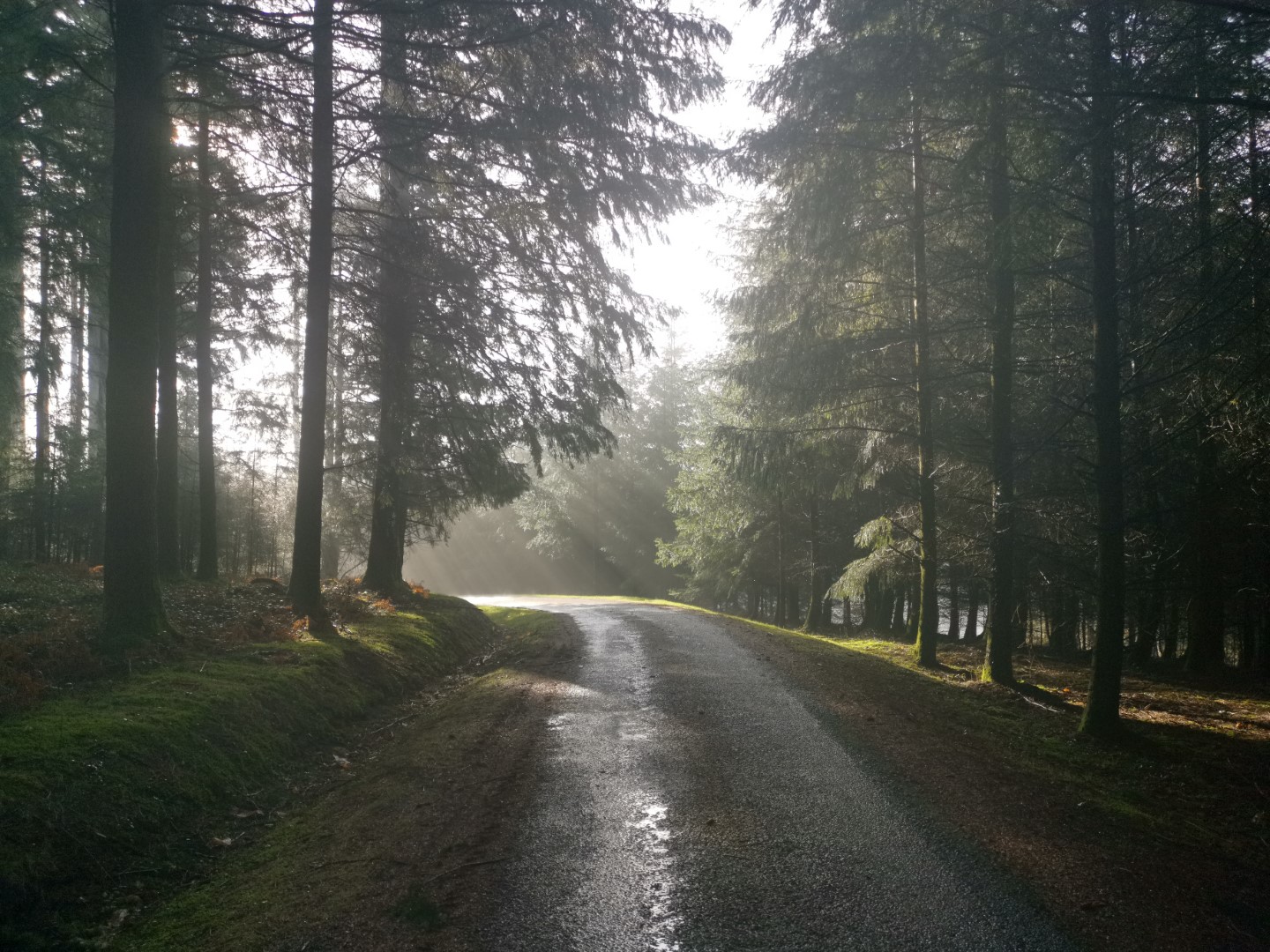 Boucle Locale N°55 Au coeur de la campagne creusoise, Soubrebost - photo 8