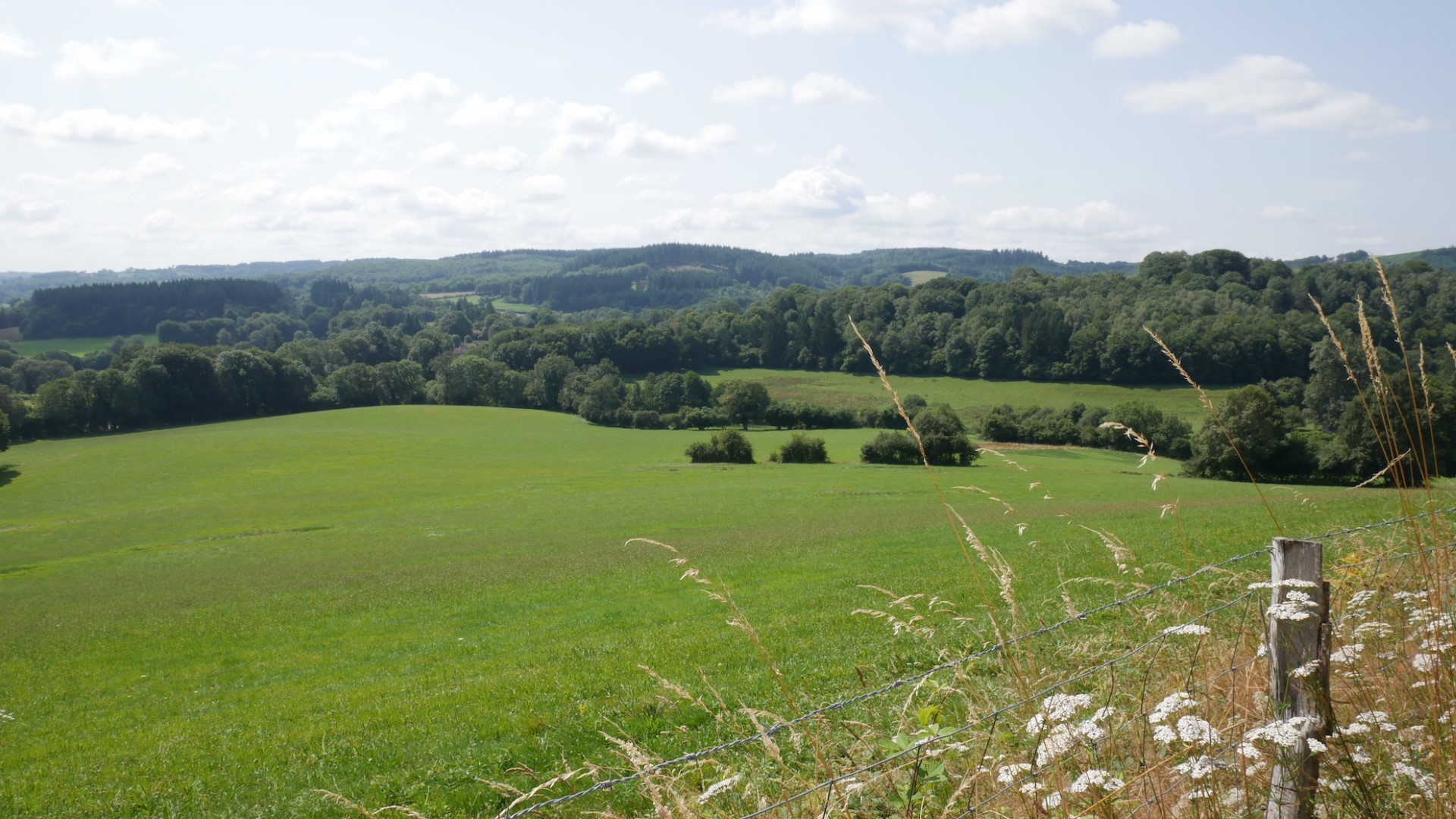 Boucle Locale N°56 Pierre d’Aubusson et la vallée du Thaurion, Le Monteil-au-Vicomte - photo 6