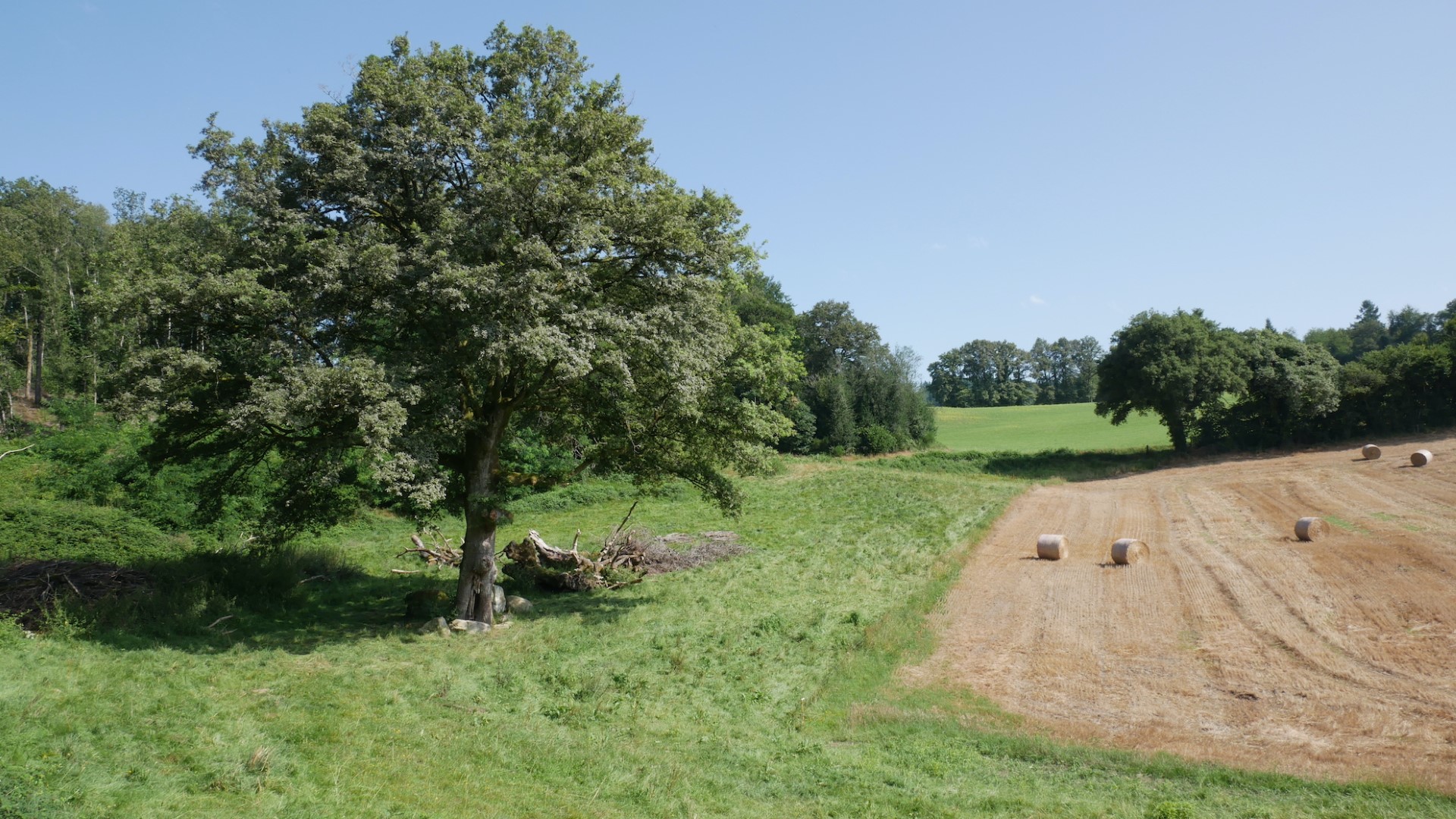 Boucle Locale N°57 Chemin de traverse en sud Creuse, Saint-Amand-Jartoudeix