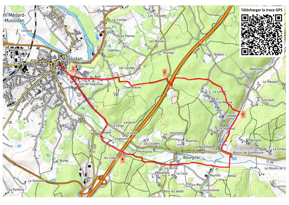 Boucle dans la Forêt du Landais au départ de Mussidan – 12 km - photo 2