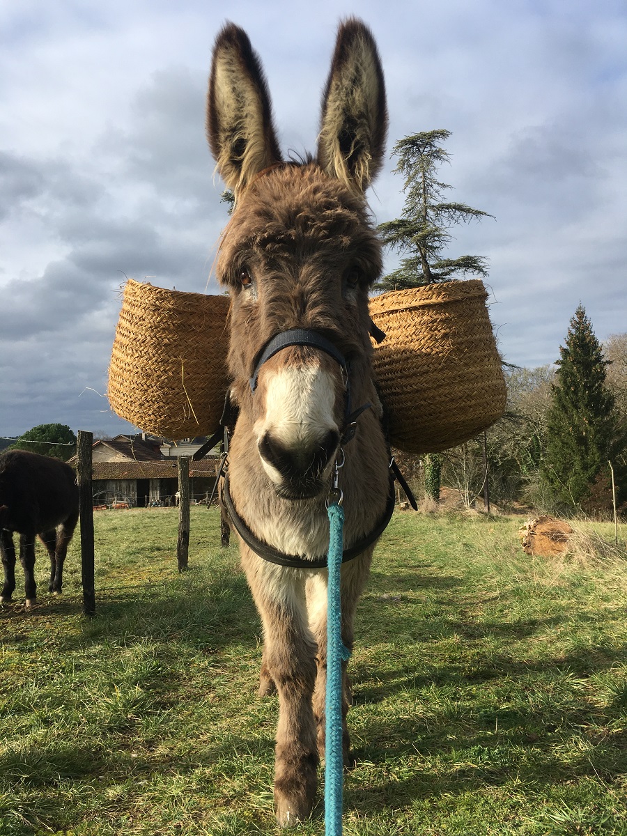 Boucles d'Anes - photo 4
