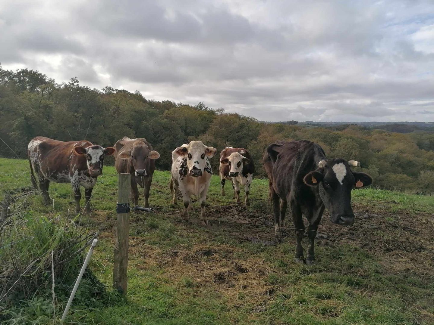 Aire de camping-cars Chez Nanou - photo 5