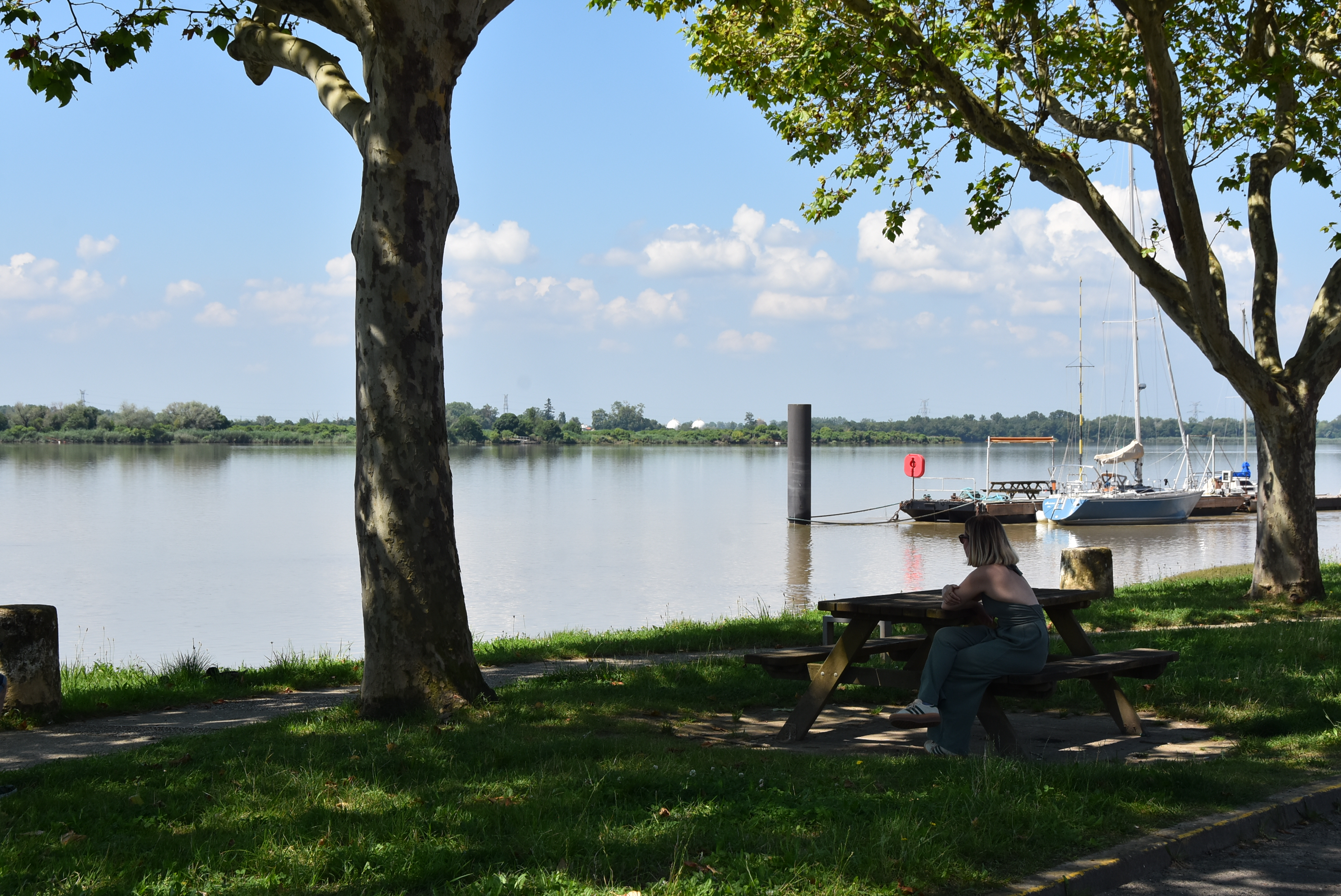 Aire de pique-nique du port de Bourg