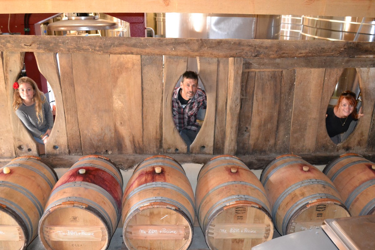 Initiation à la dégustation au Domaine du Bout du Monde