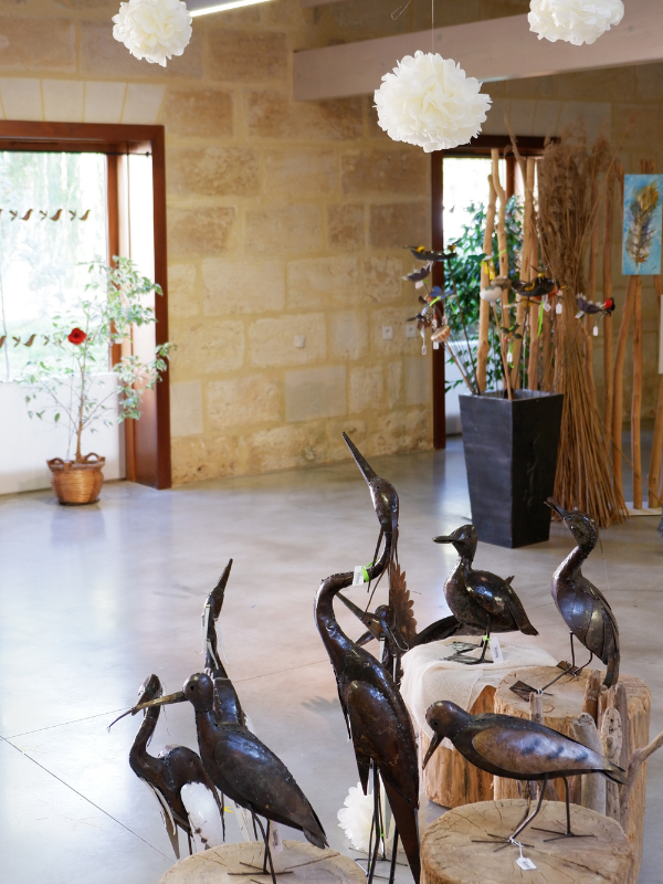 Boutique Estuaire Tourisme & Terres d'Oiseaux, Braud-et-Saint-Louis - photo 17