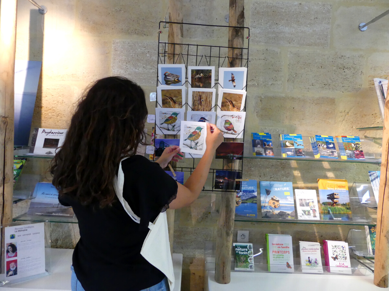 Boutique Estuaire Tourisme & Terres d'Oiseaux, Braud-et-Saint-Louis - photo 15