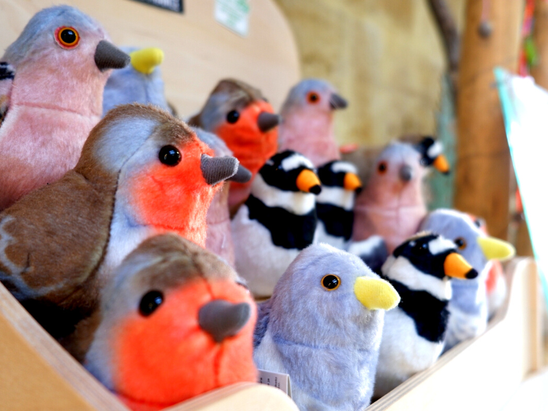 Boutique Estuaire Tourisme & Terres d'Oiseaux, Braud-et-Saint-Louis - photo 21