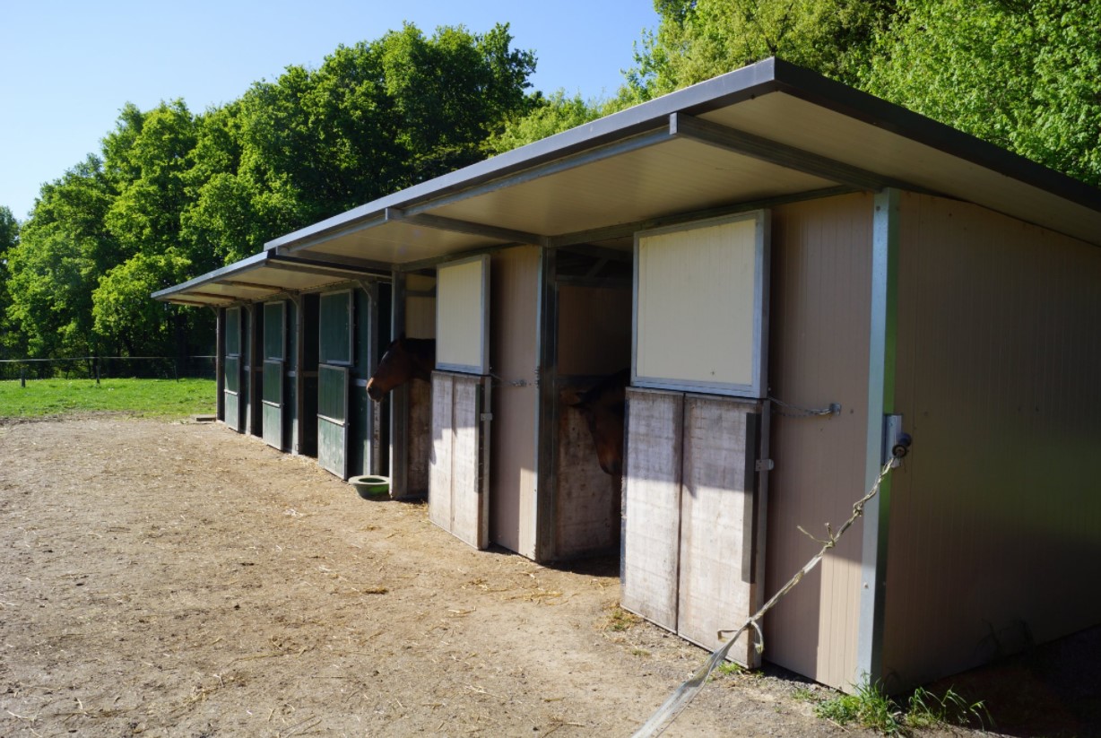 Château la Séchère, Usson-du-Poitou - photo 6
