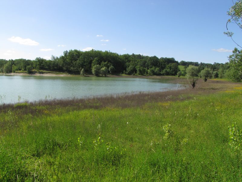 Lac du Brayssou - Pêche et randonnée pédestre., Tourliac - photo 7