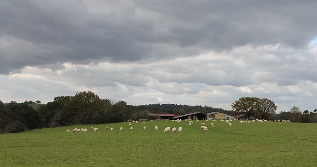 Ferme Péhosse