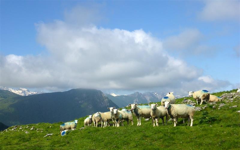 Le Plateau de l'Isarce