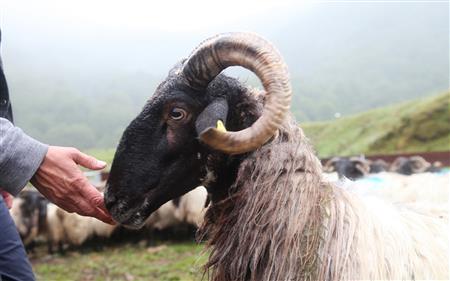 Ferme Beira Ferme Beira